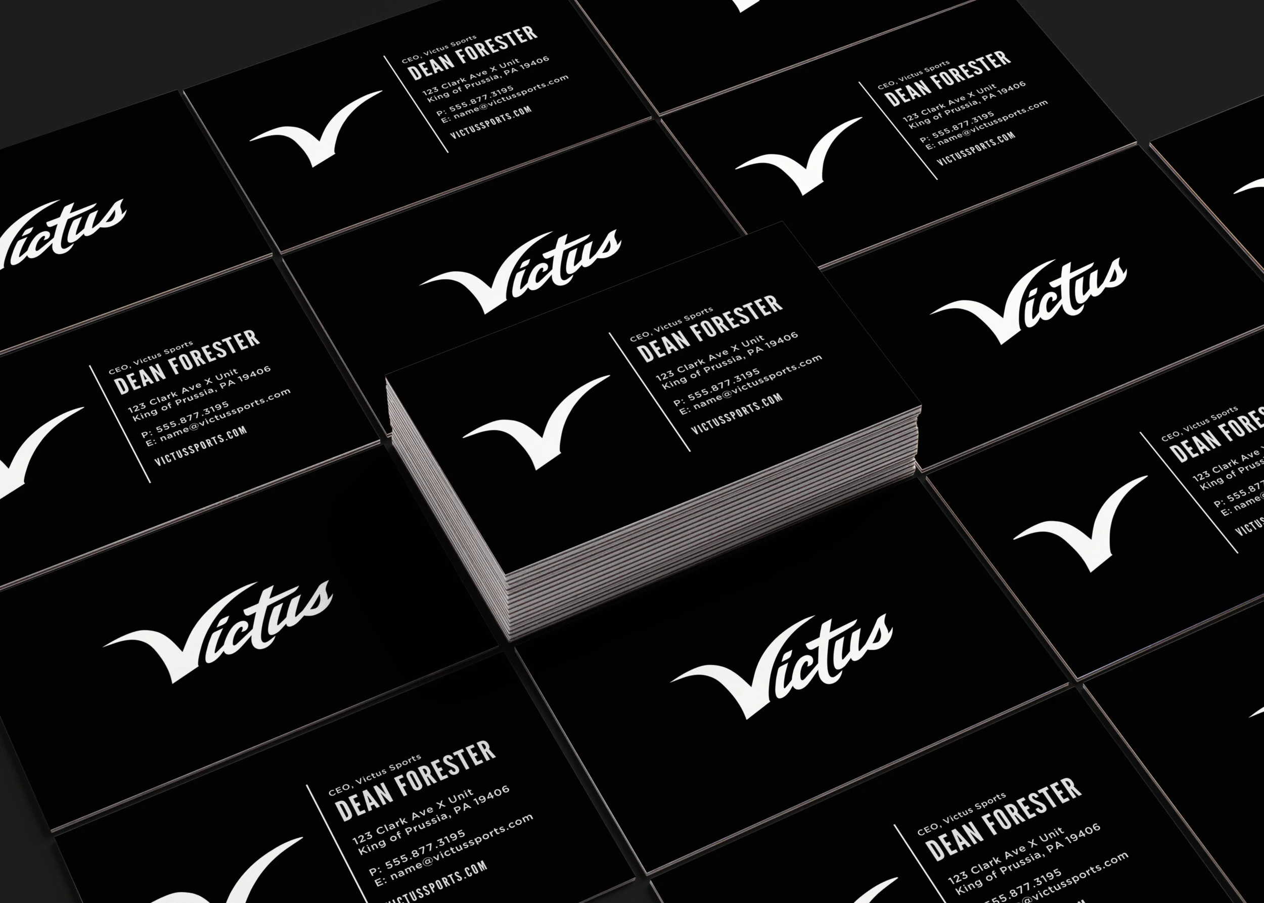210624-Preview-03_BusinessCards_StandardMoo-Victus2019iai-01.jpg