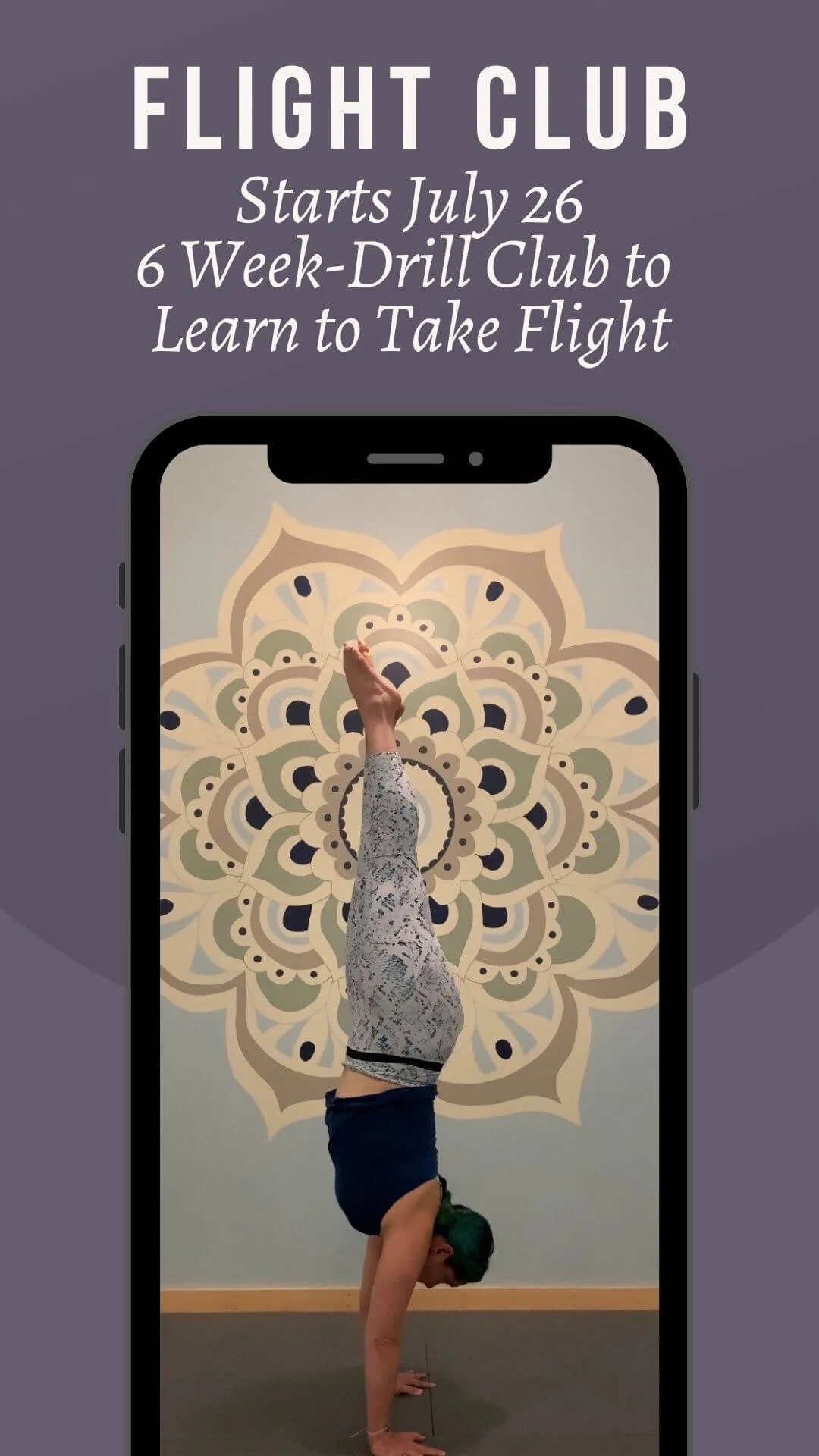 The Elements Flight Club-Inversions.jpg