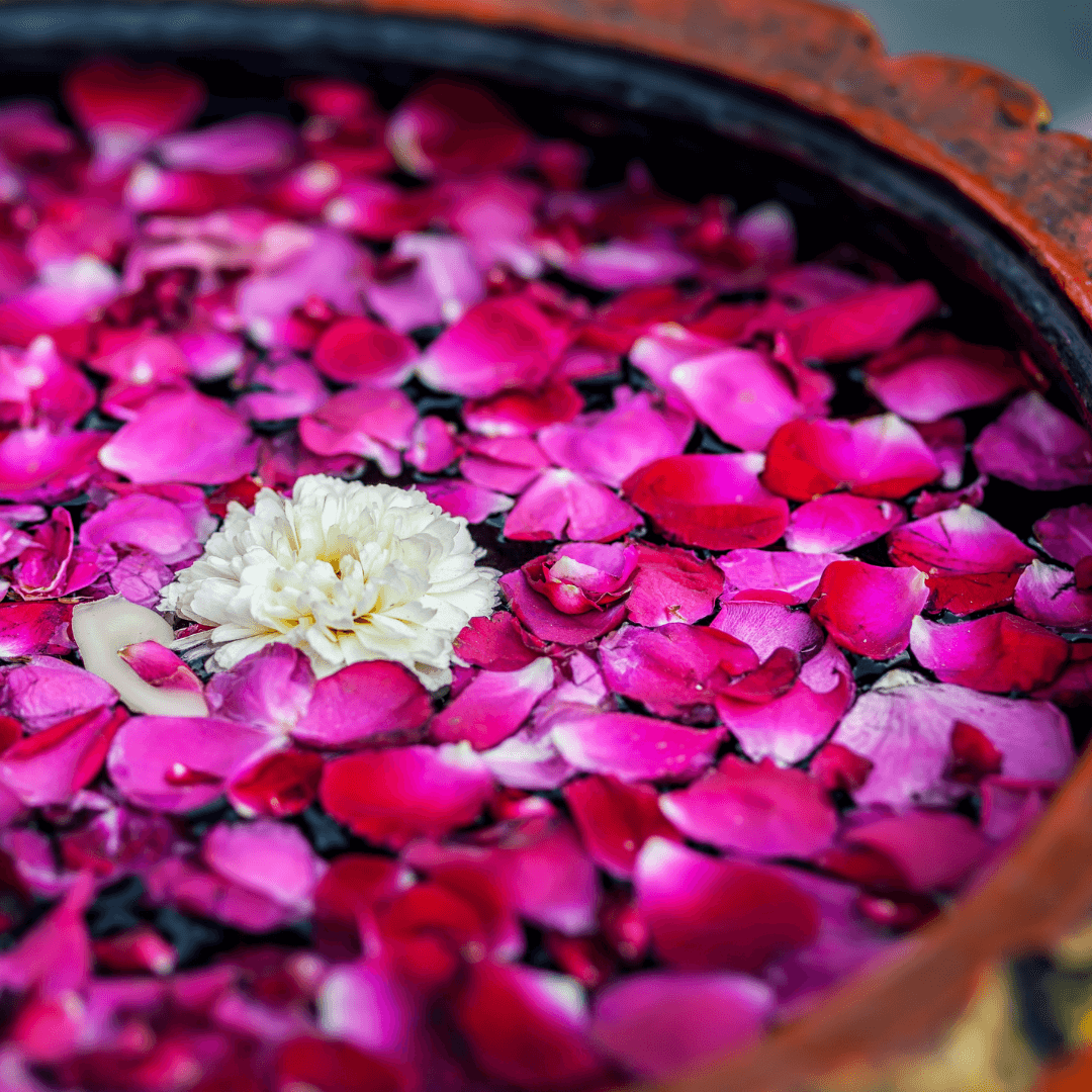 Vata and Graceful Fall Living  