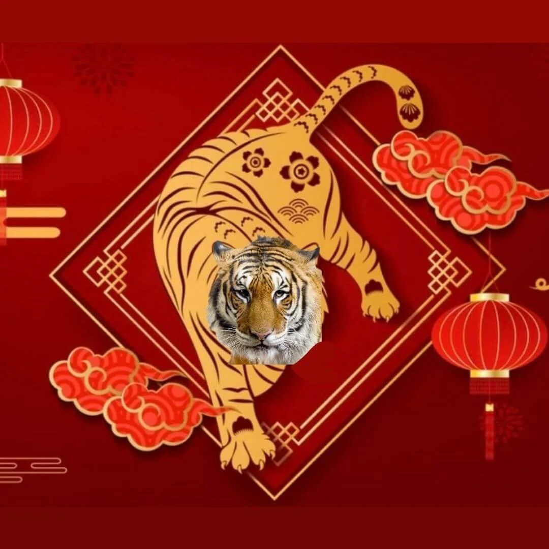 Your Cosmic Forecast: February 2021