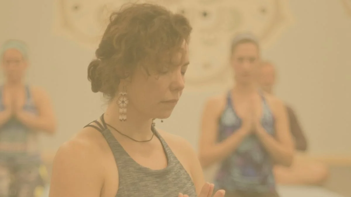 Vinyasa 7 - Law of Attraction