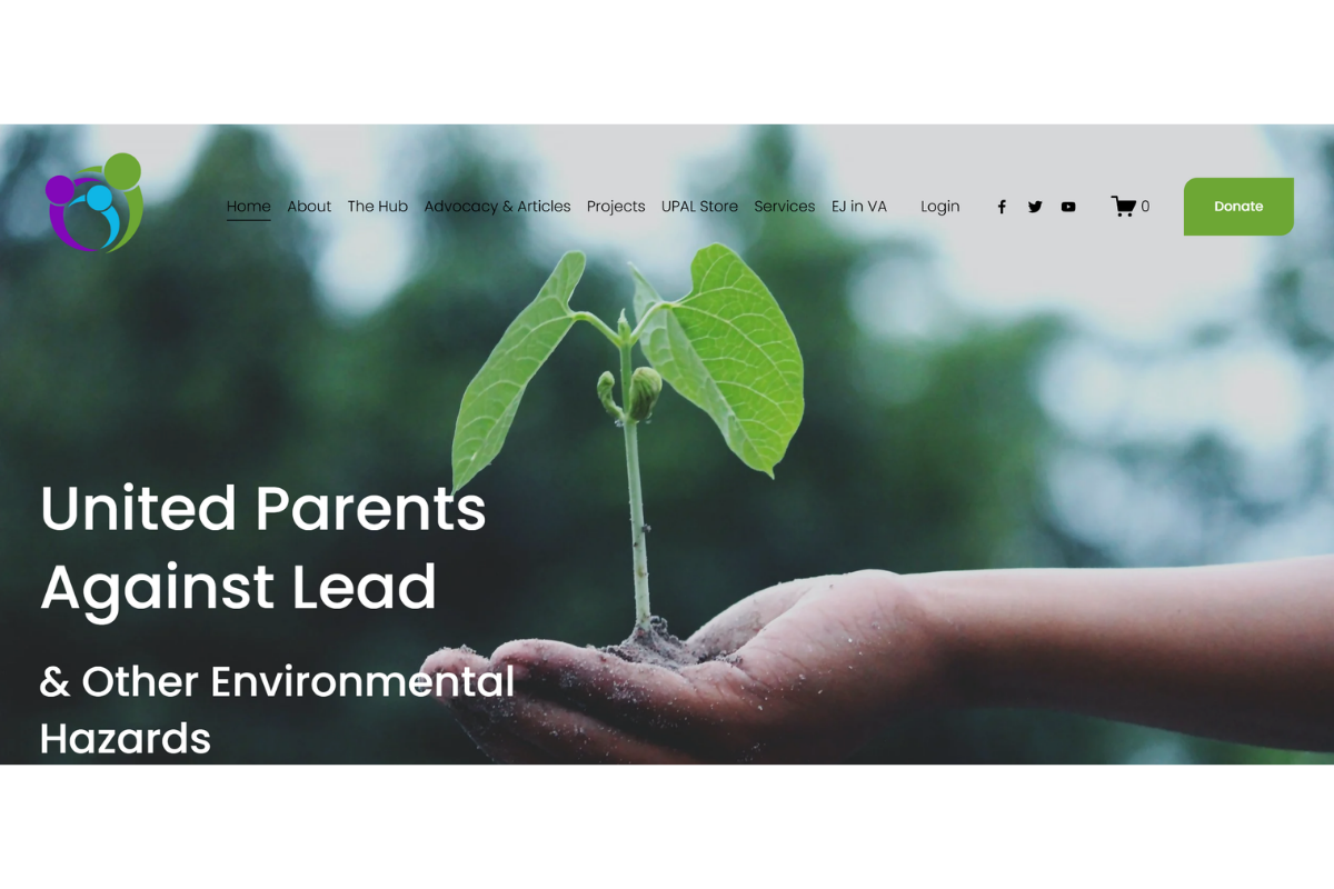 Website Design & SEO Support