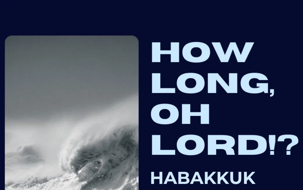Habakkuk 2:2-20 - How Long Oh Lord? episode artwork