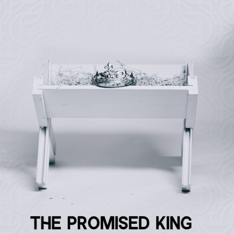 The Promised King - 2 Samuel 7:1-17 episode artwork