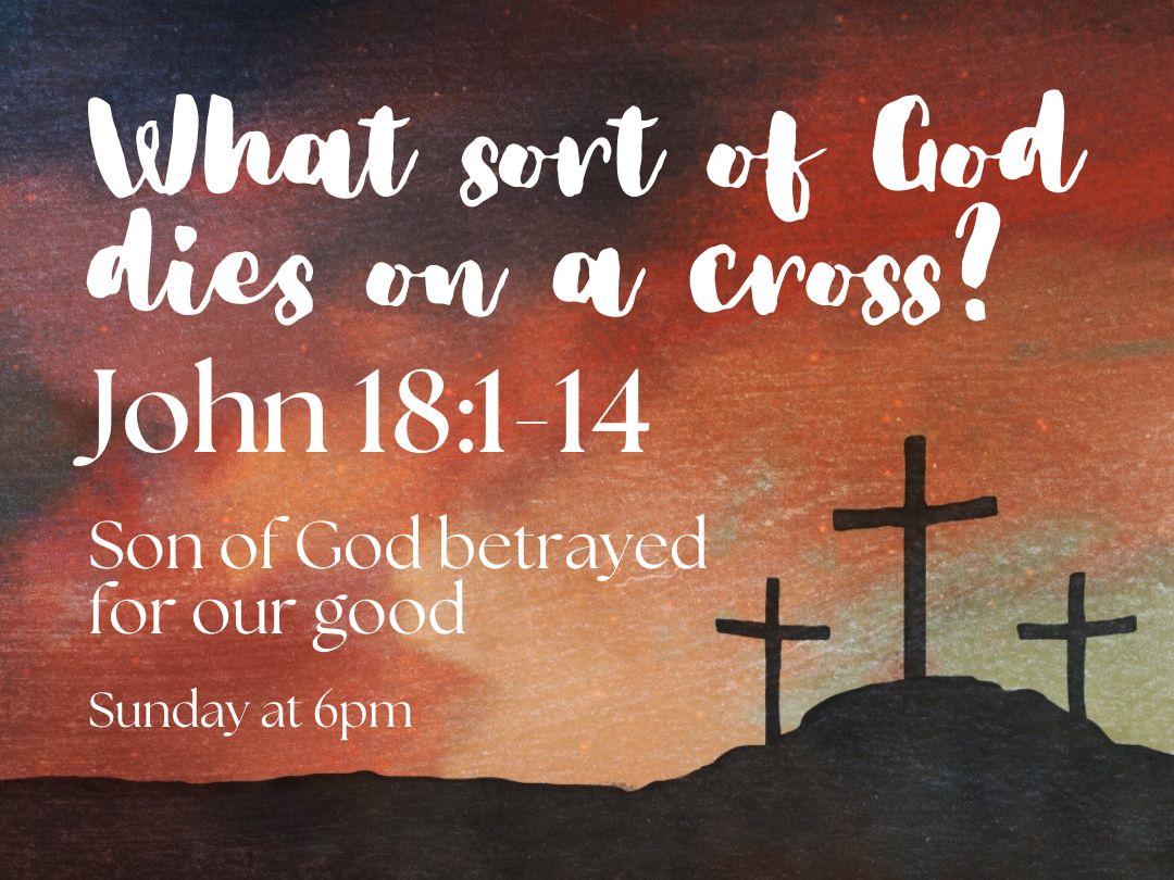 What sort of God dies on a cross? - Son of God betrayed for our good. - John 18:1-14 episode artwork