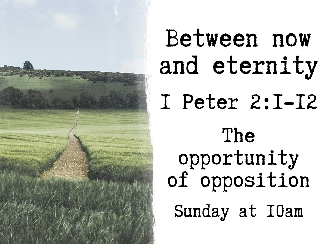 Thank God for Growth - The Opportunity of Opposition - 1 Peter 2:1-12 episode artwork