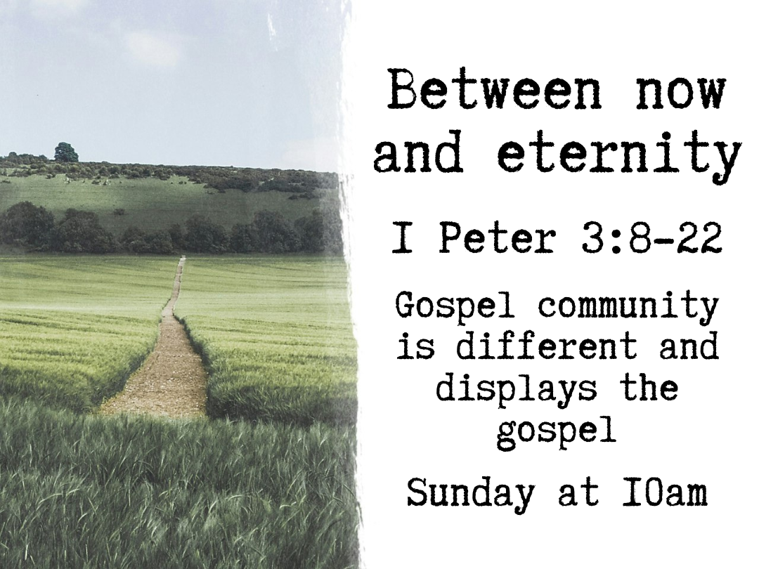 Between now and Eternity - Gospel community is different and displays the gospel - 1 Peter 3:8-22 episode artwork