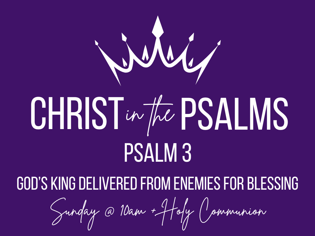 Christ in the Psalms - God's King delivered from enemies for blessing - Psalm 3 episode artwork