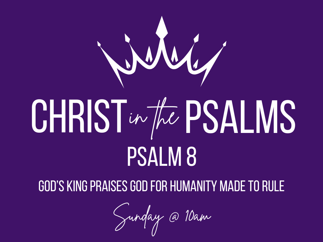Christ in the Psalms - God's King praises God for humanity made to rule - Psalm 8 episode artwork