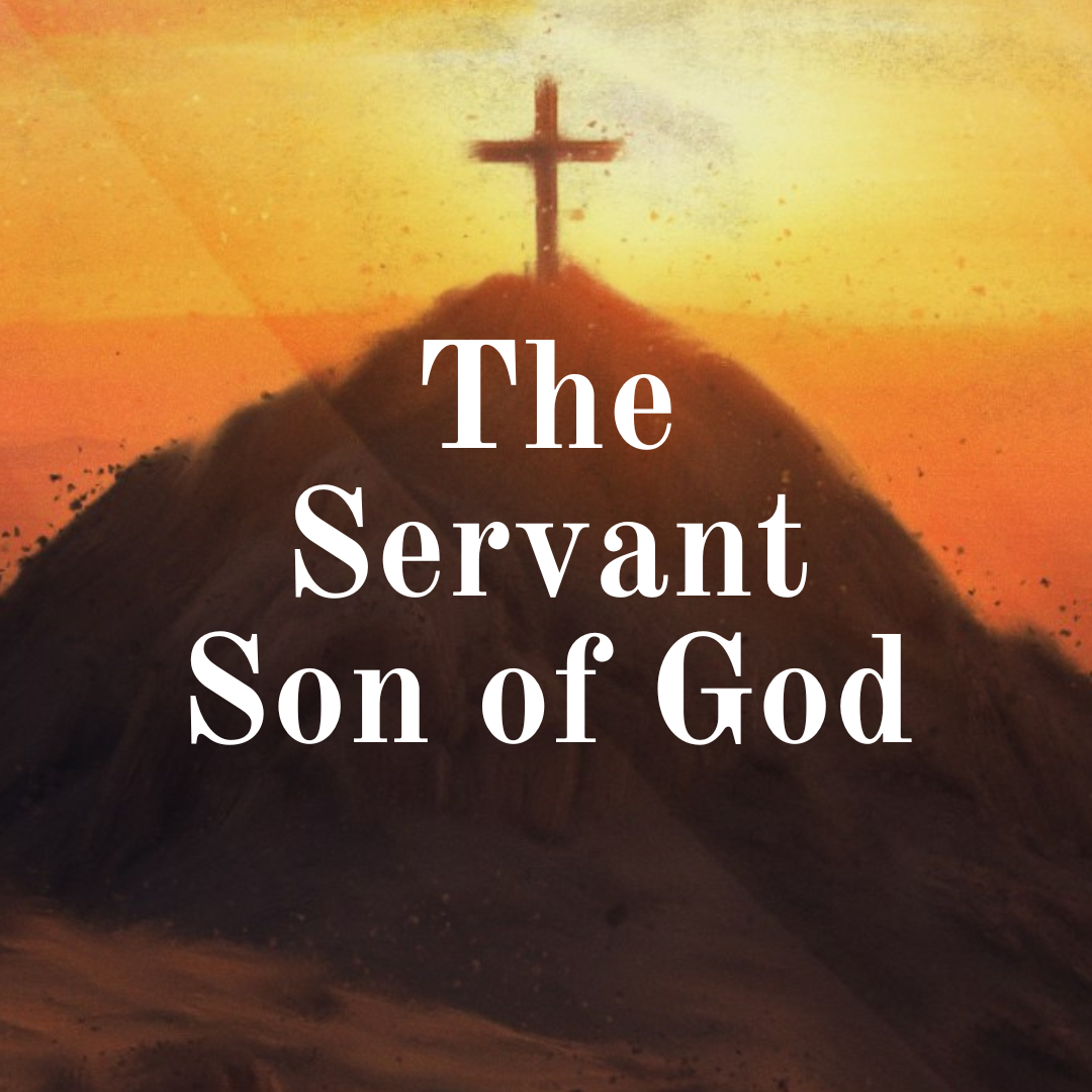 The Servant Son of God - Jesus has risen ahead of us - Mark 16:1-8 episode artwork