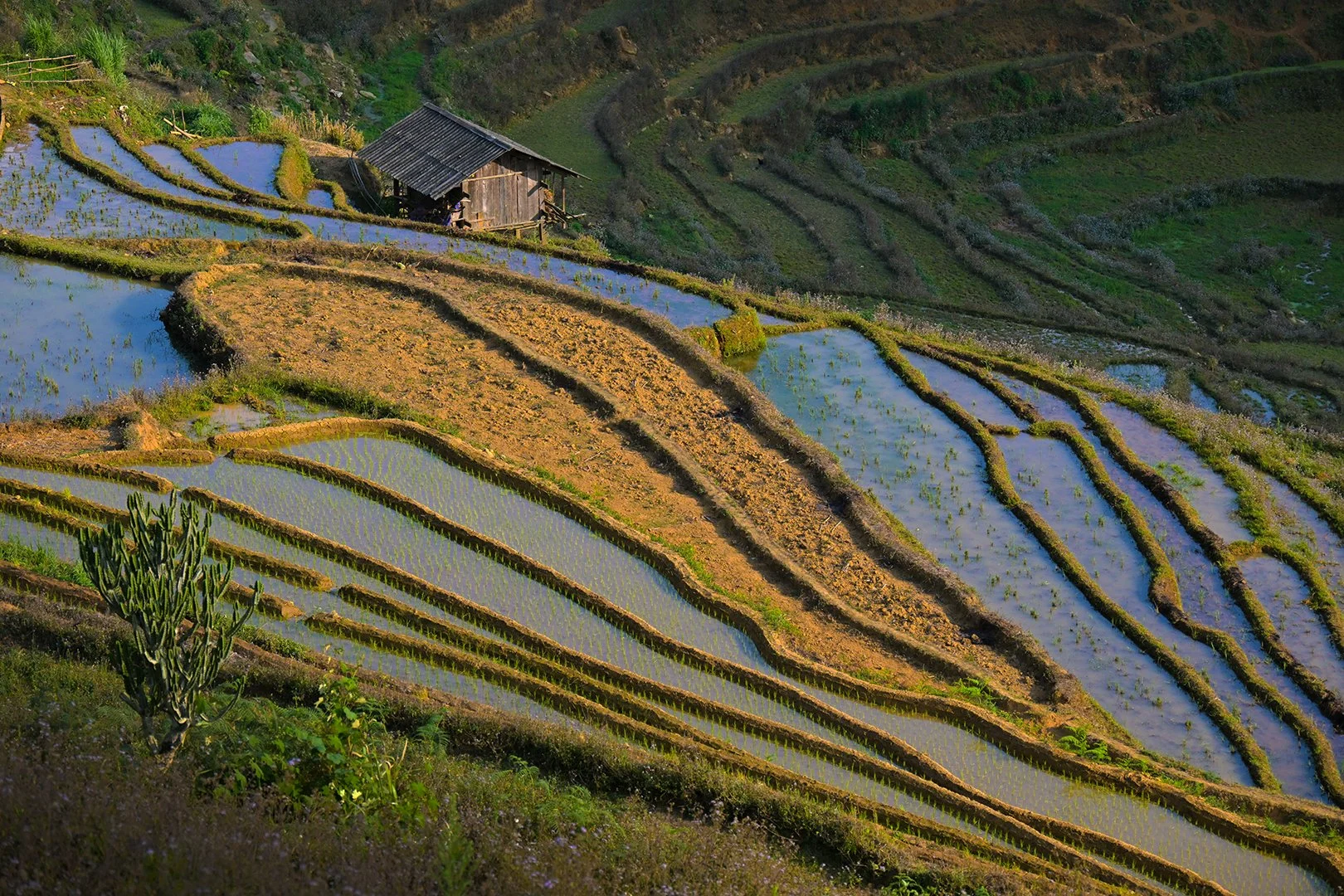 Mu Cang Chai2.jpg