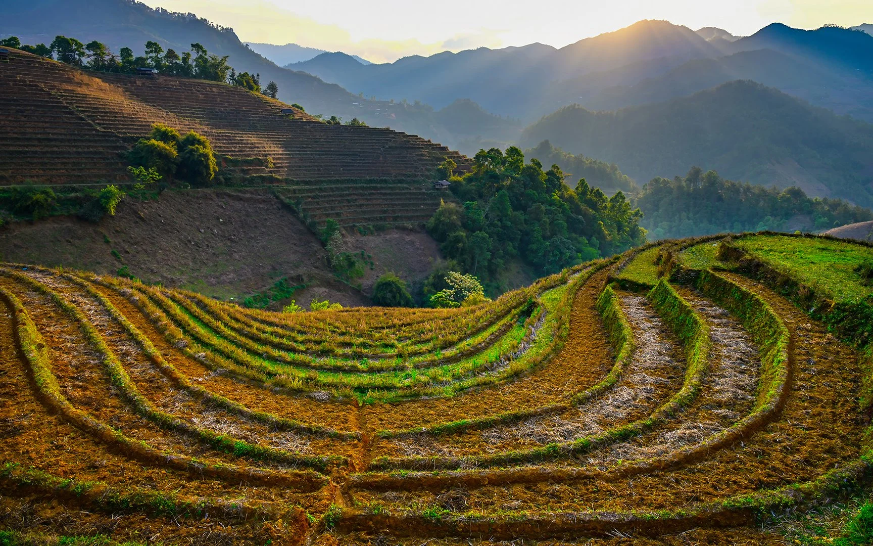 Mu Cang Chai6.jpg