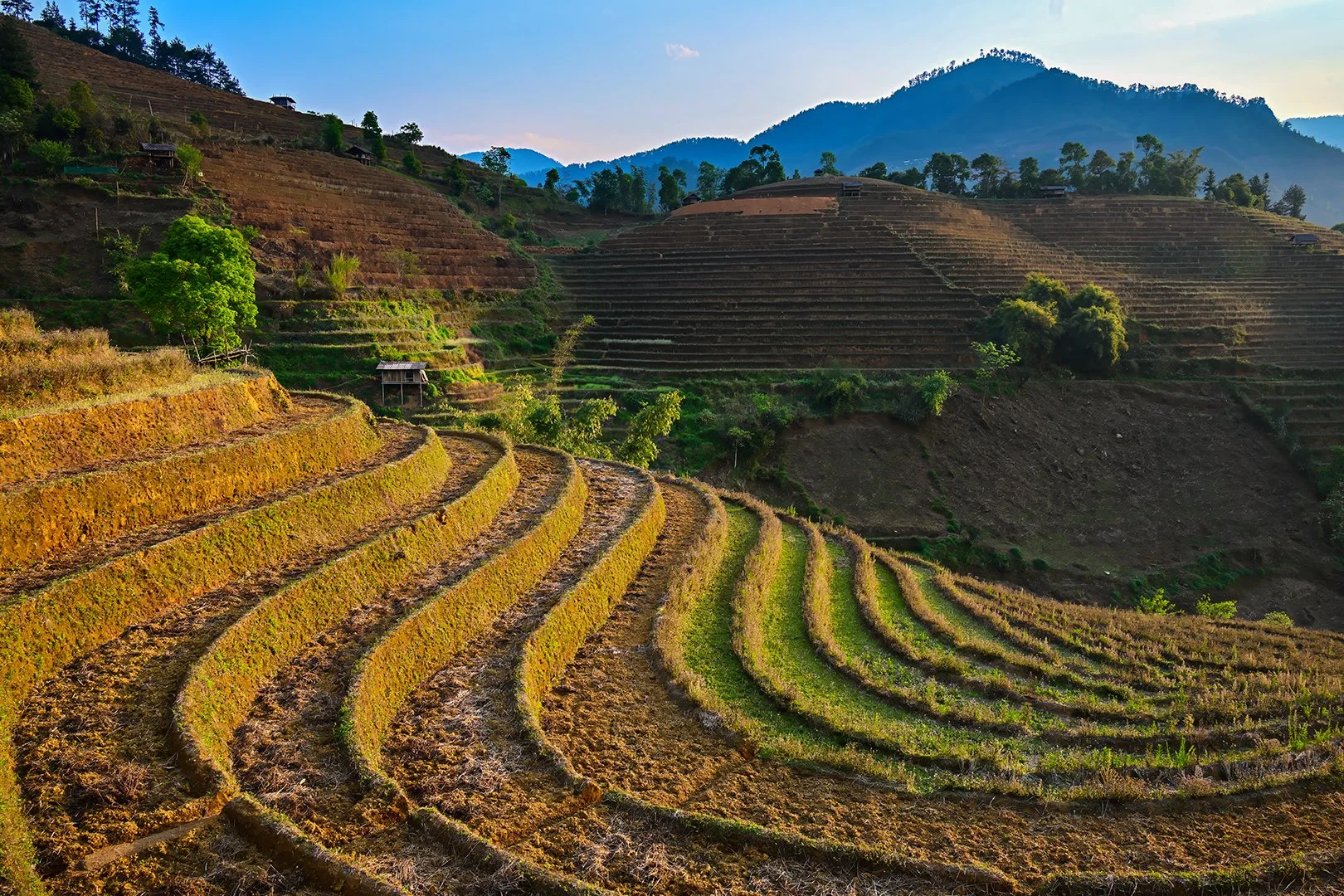 Mu Cang Chai7.jpg