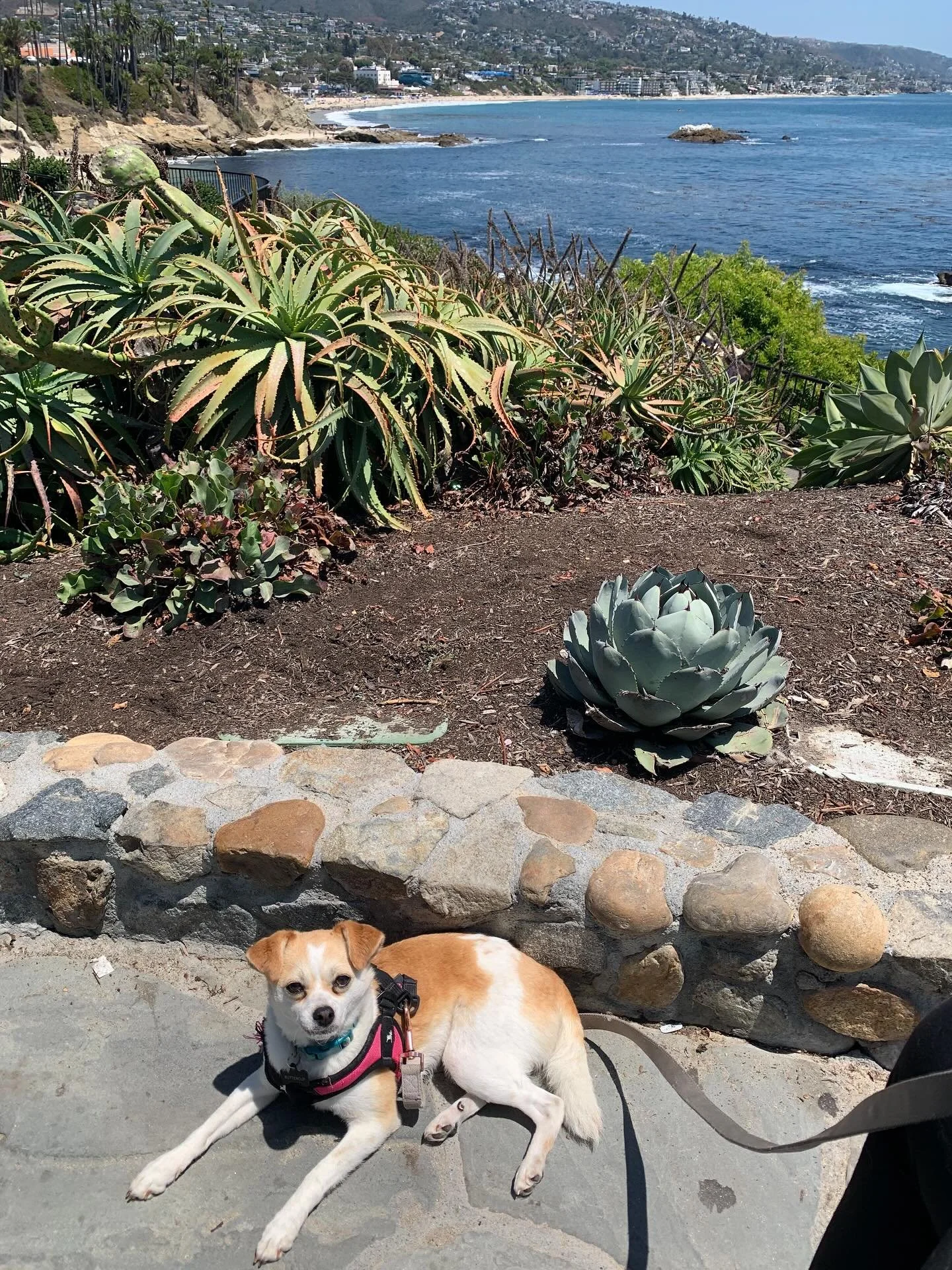 Lots of writers are self-employed, but I&rsquo;ve got a boss who&rsquo;s pretty strict about my screen time. 

So it&rsquo;s a good thing the Very Short Story Challenge only requires 30 min of writing per day, for 5 days!

Come kickstart your writing