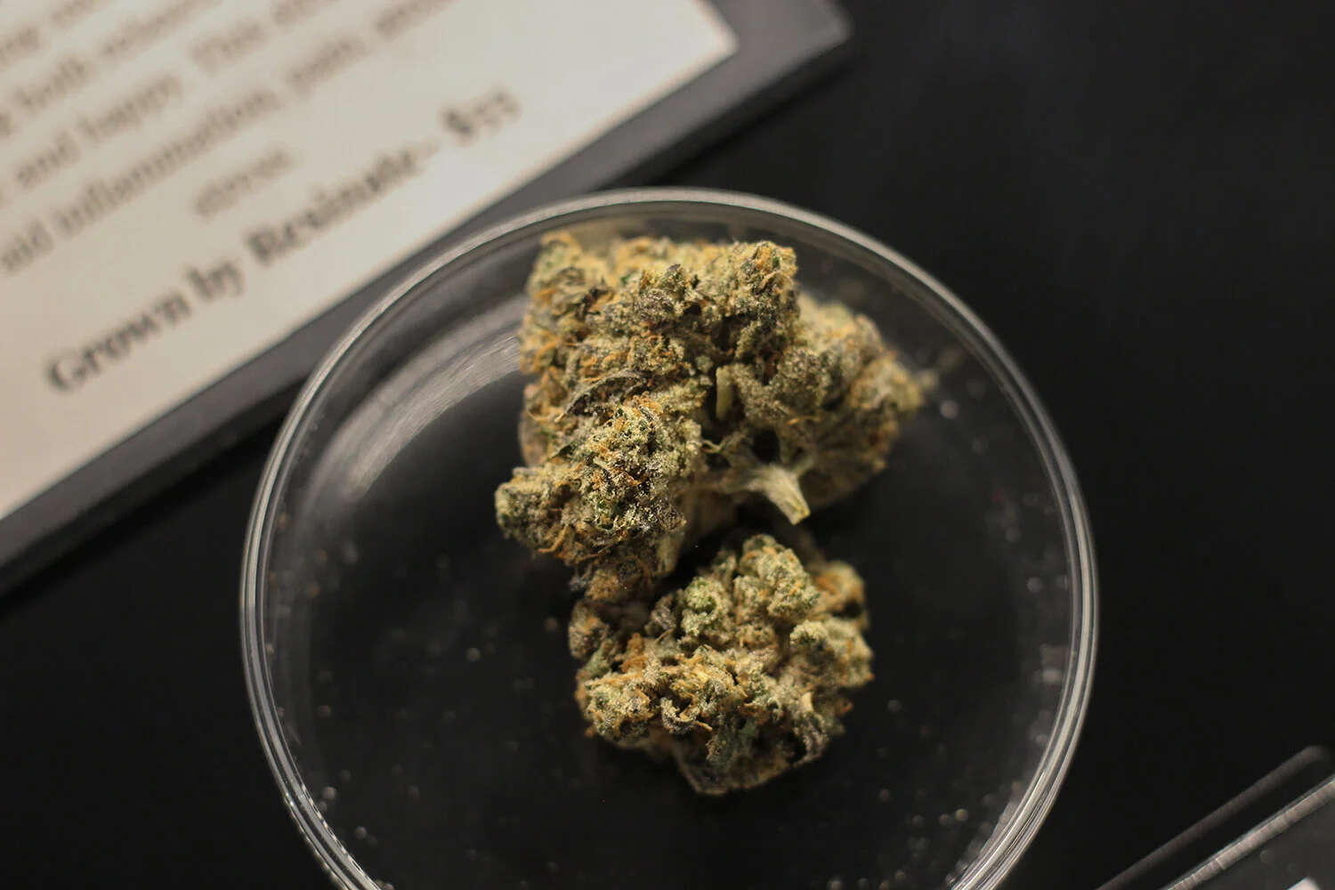 Cannabis Blog Banner.jpg