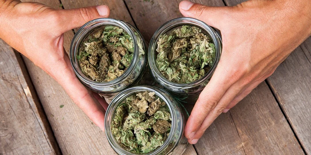 Indica vs. Sativa - What’s the Difference, and Which Is Right for You?