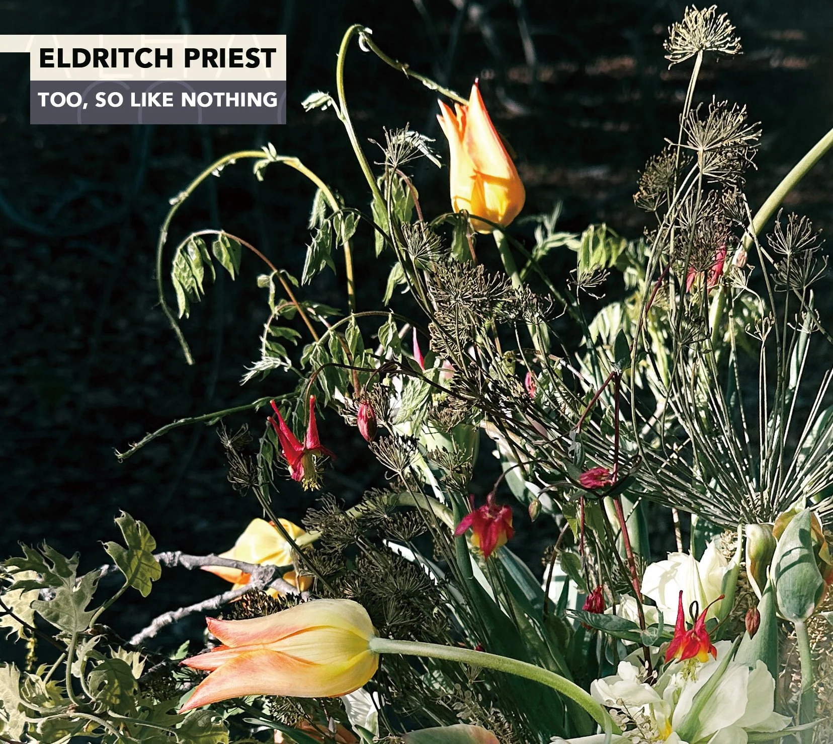Too, So Like Nothing: an interview with composer Eldritch Priest