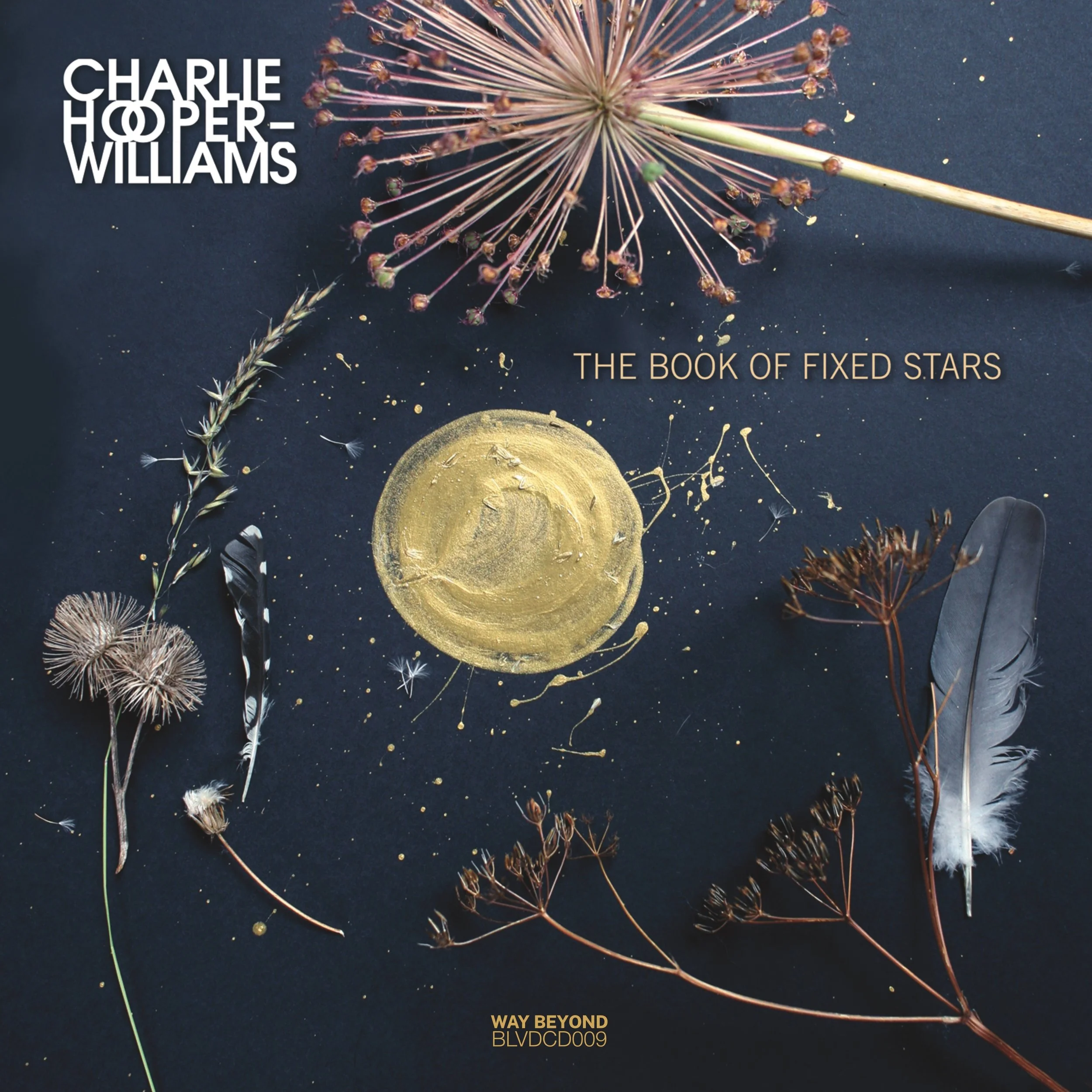 The Book of Fixed Stars: an interview with composer and pianist Charlie Hooper-Williams