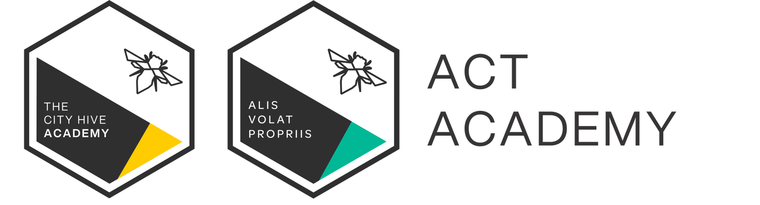 The City Hive Academy