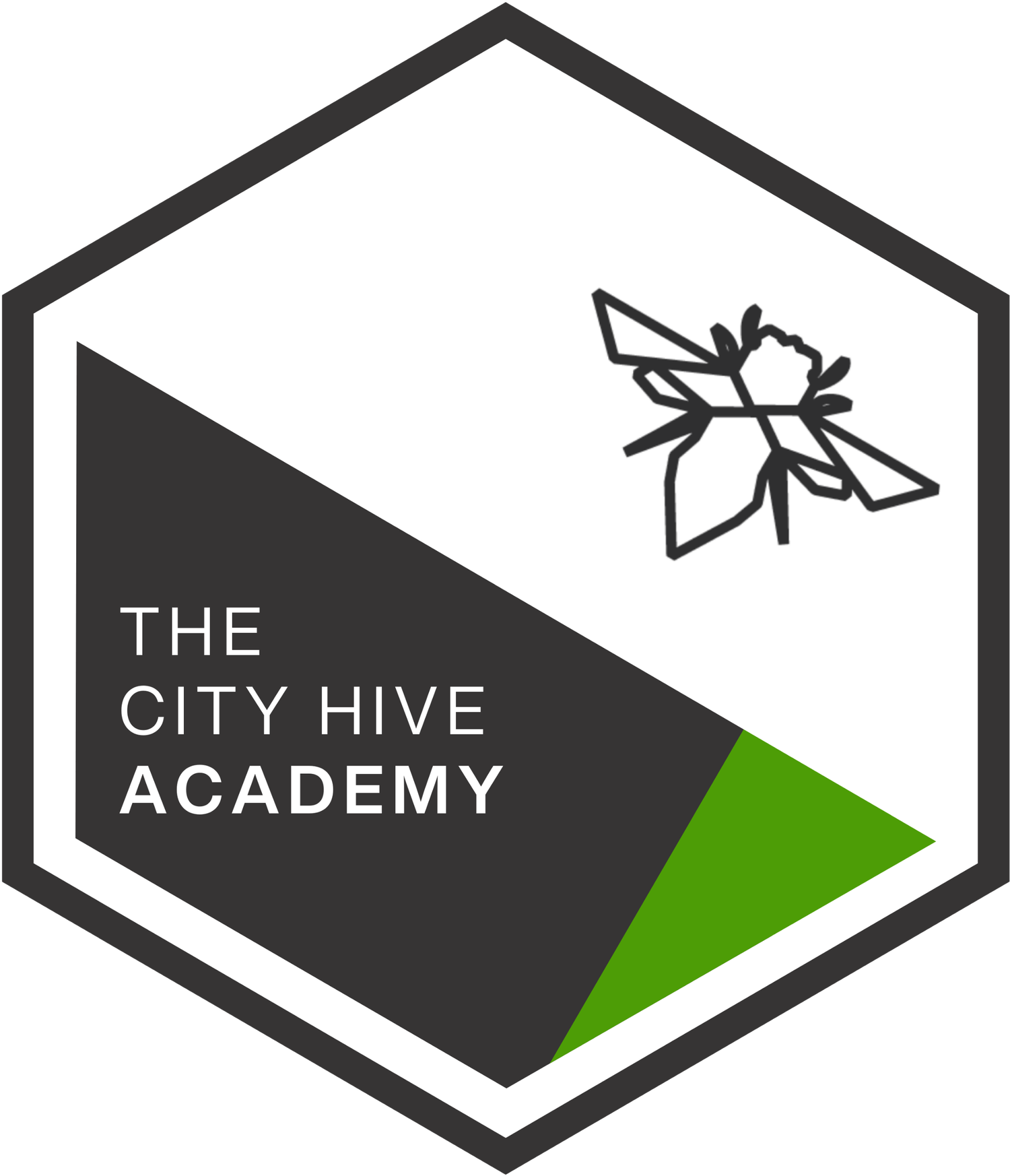 The City Hive Academy