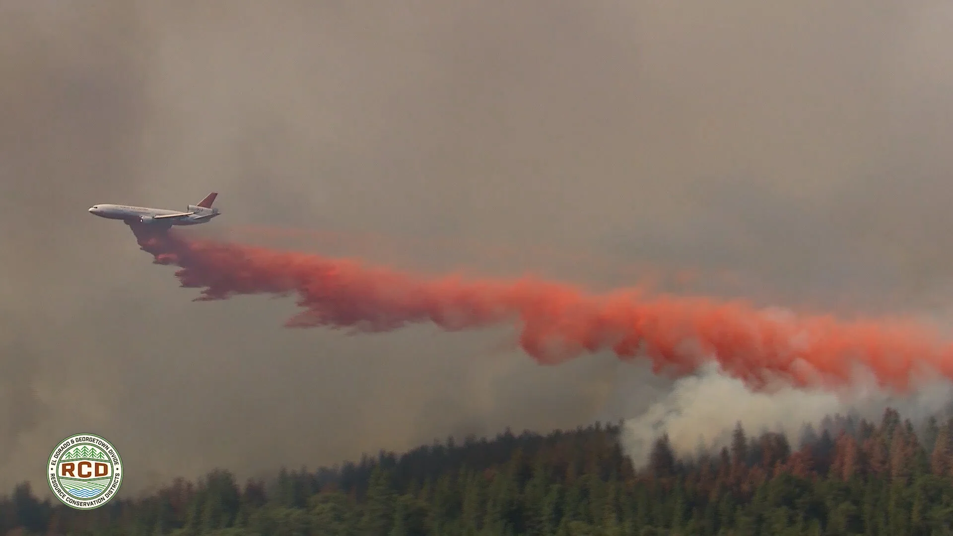 Water and Forest Health
