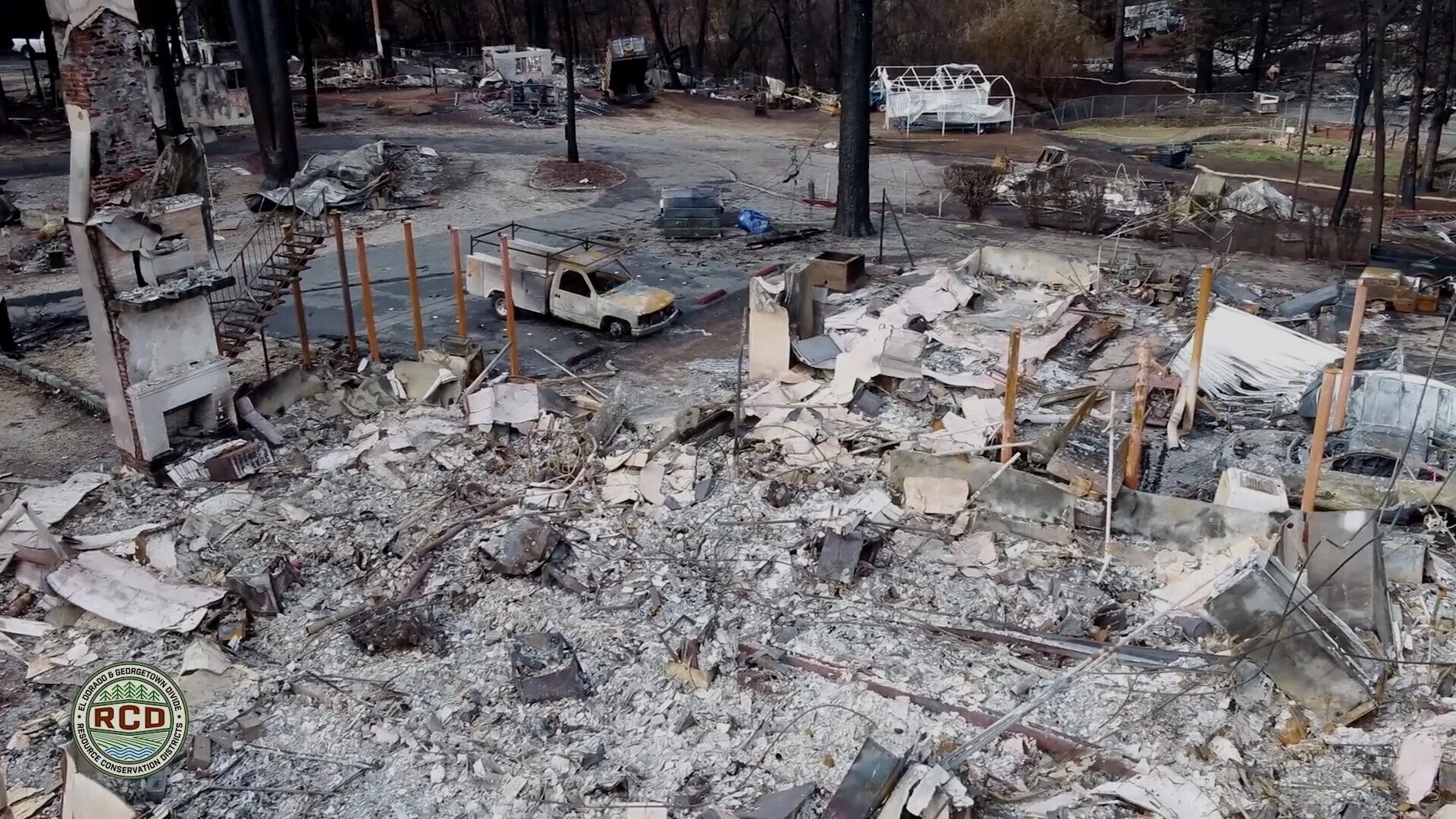 Forest Management Problem