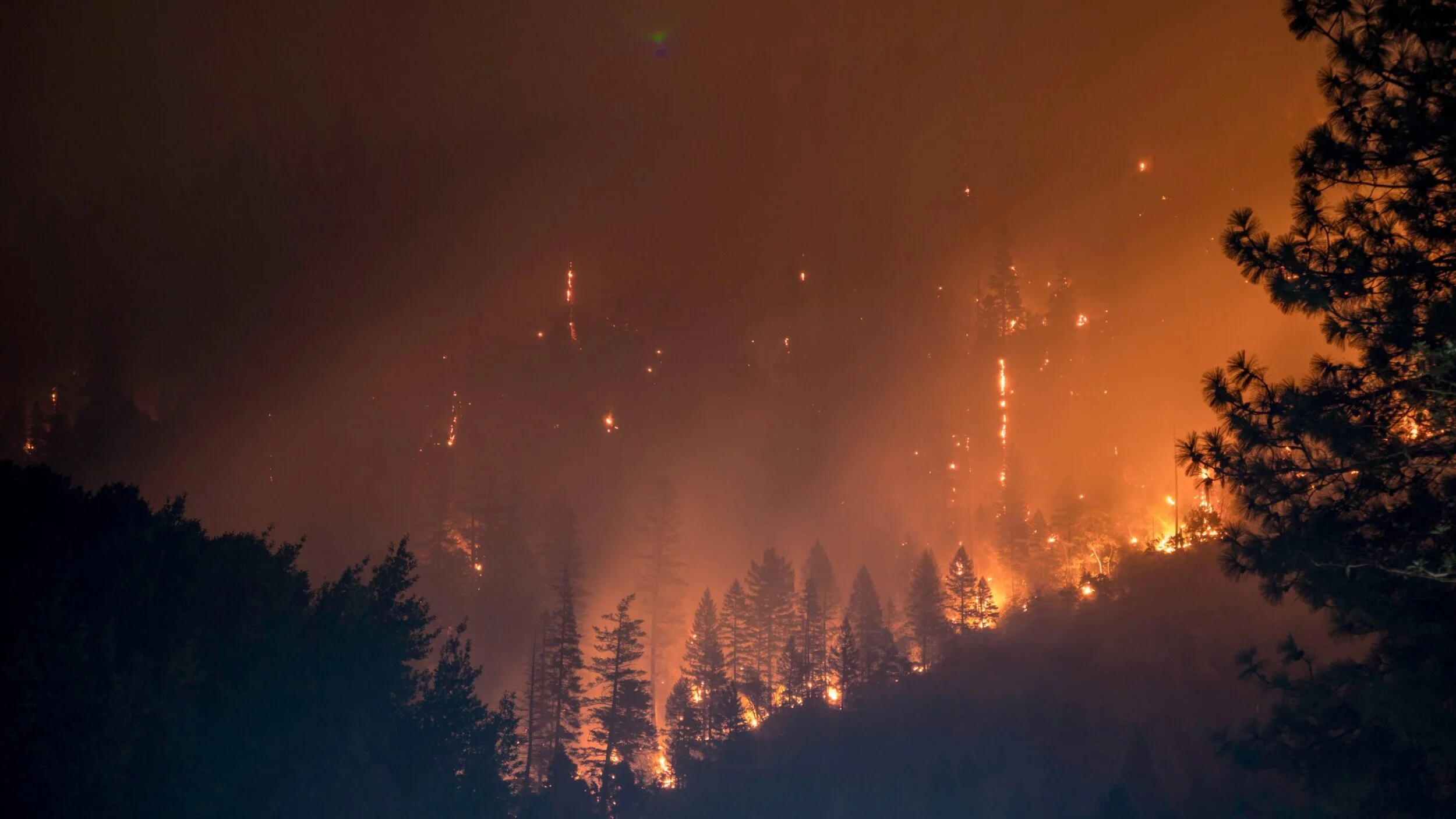 Fire Adapted 50: Phase II