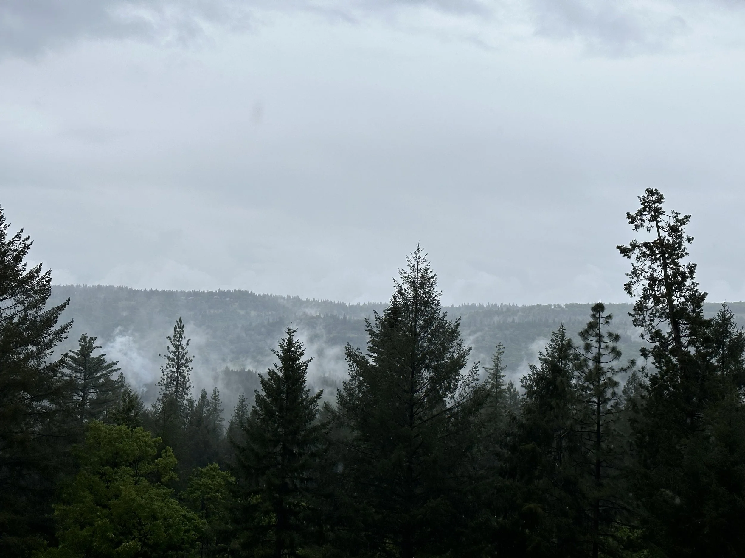 South Placerville Fuel Break