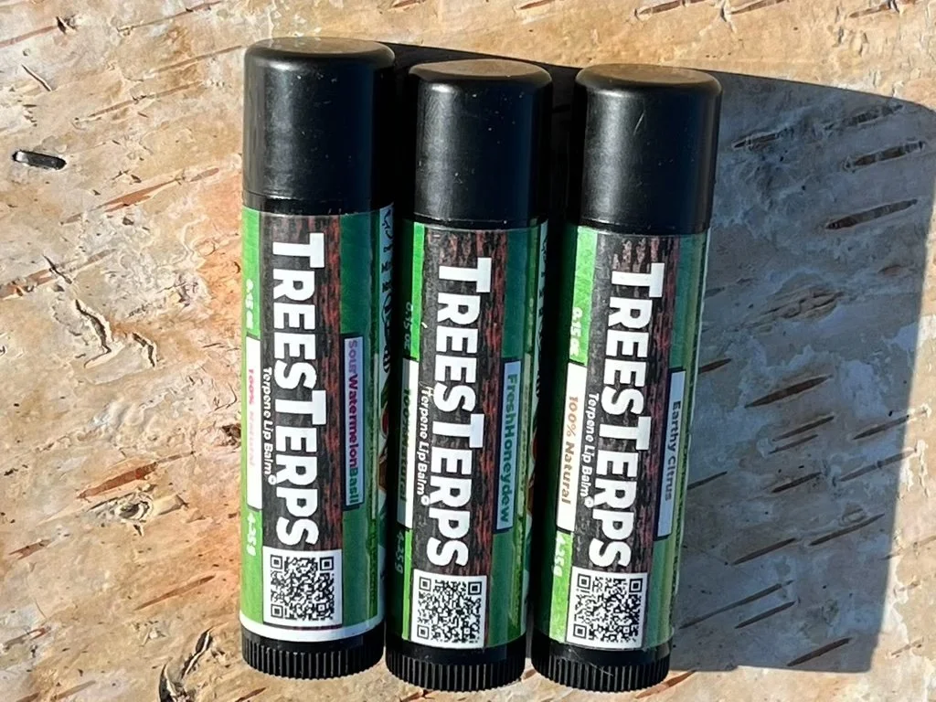 3 treesterps on birch.jpg