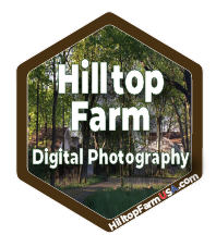 Hilltop Farm Digital Photography Badge1.png