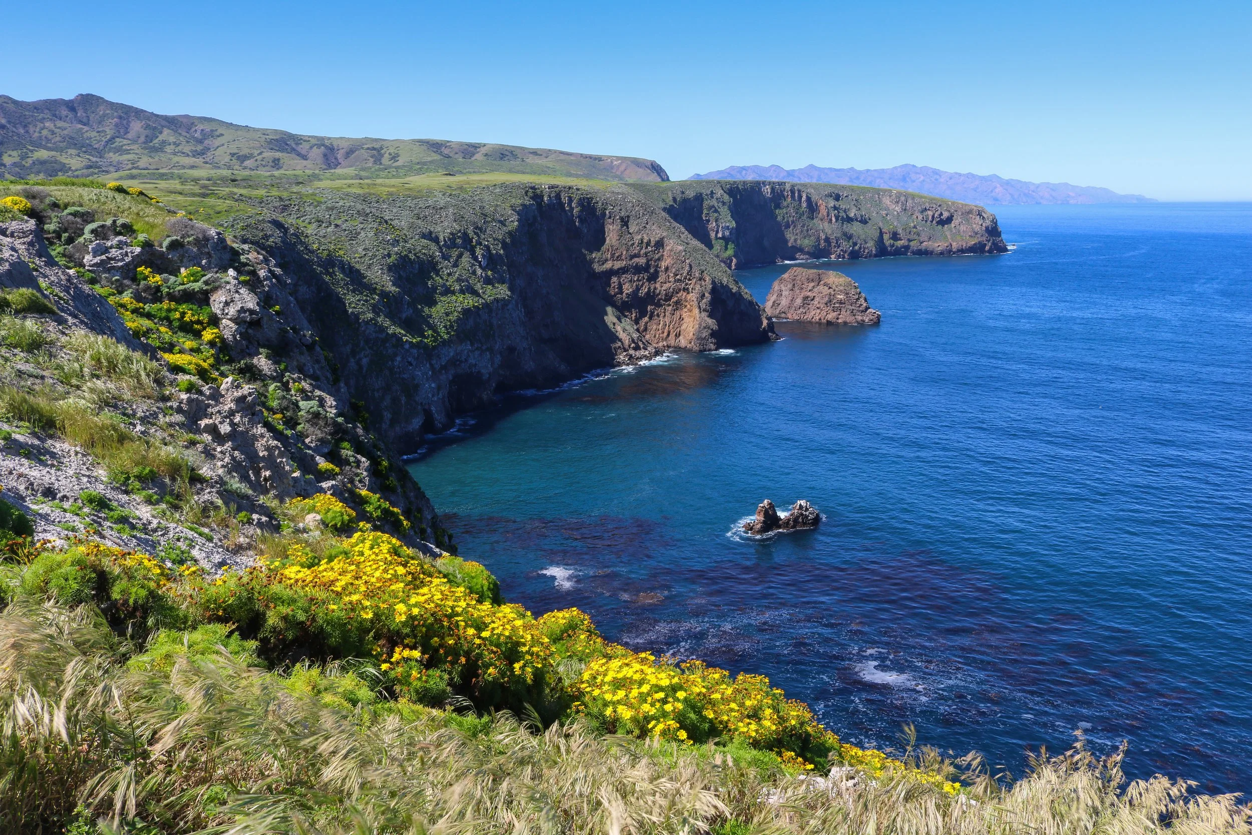 Channel Islands Expeditions