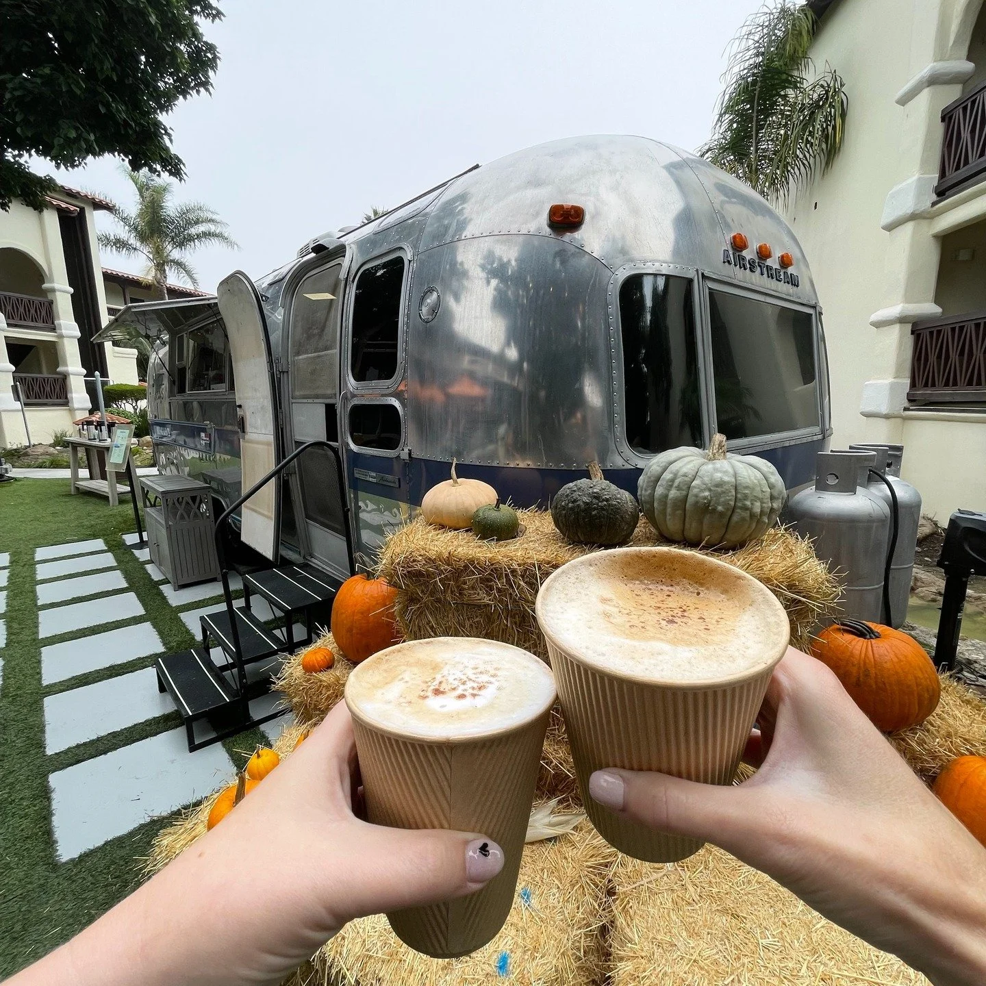 Cheers to 3 years of Zachari Dunes on Mandalay Beach! @zacharidunes 

We&rsquo;re raising a glass (or coffee) to celebrate our anniversary with you. Enjoy $3 off any drink, all week long at Sugar Beats.

From sunrise coffees to cocktails by the beach