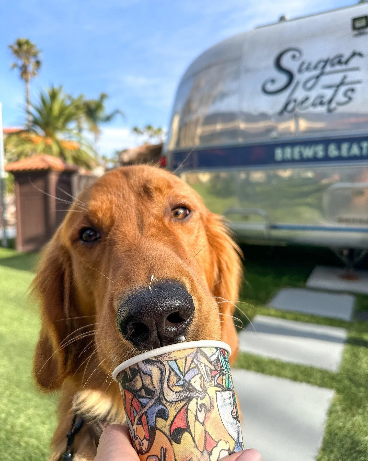 Cheers to fresh starts and sweet escapes. 🌊✨ #NewYearNewYou #SugarBeatsOxnard