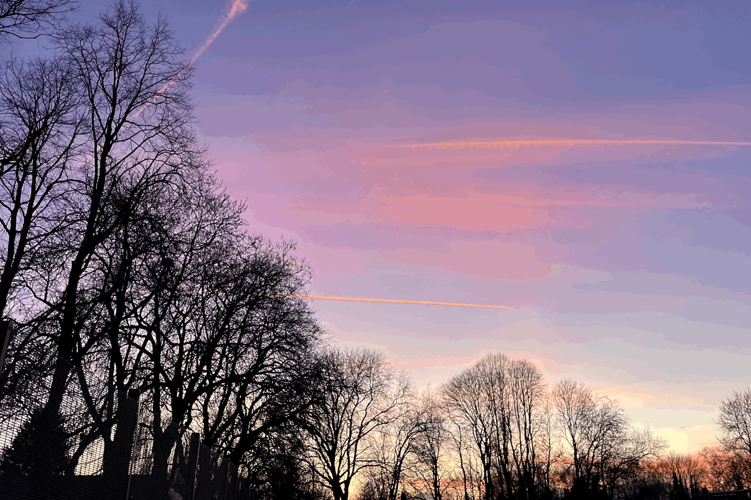 What is Mother’s Day - The origin and significance of the day and what that could mean for you and your grief.