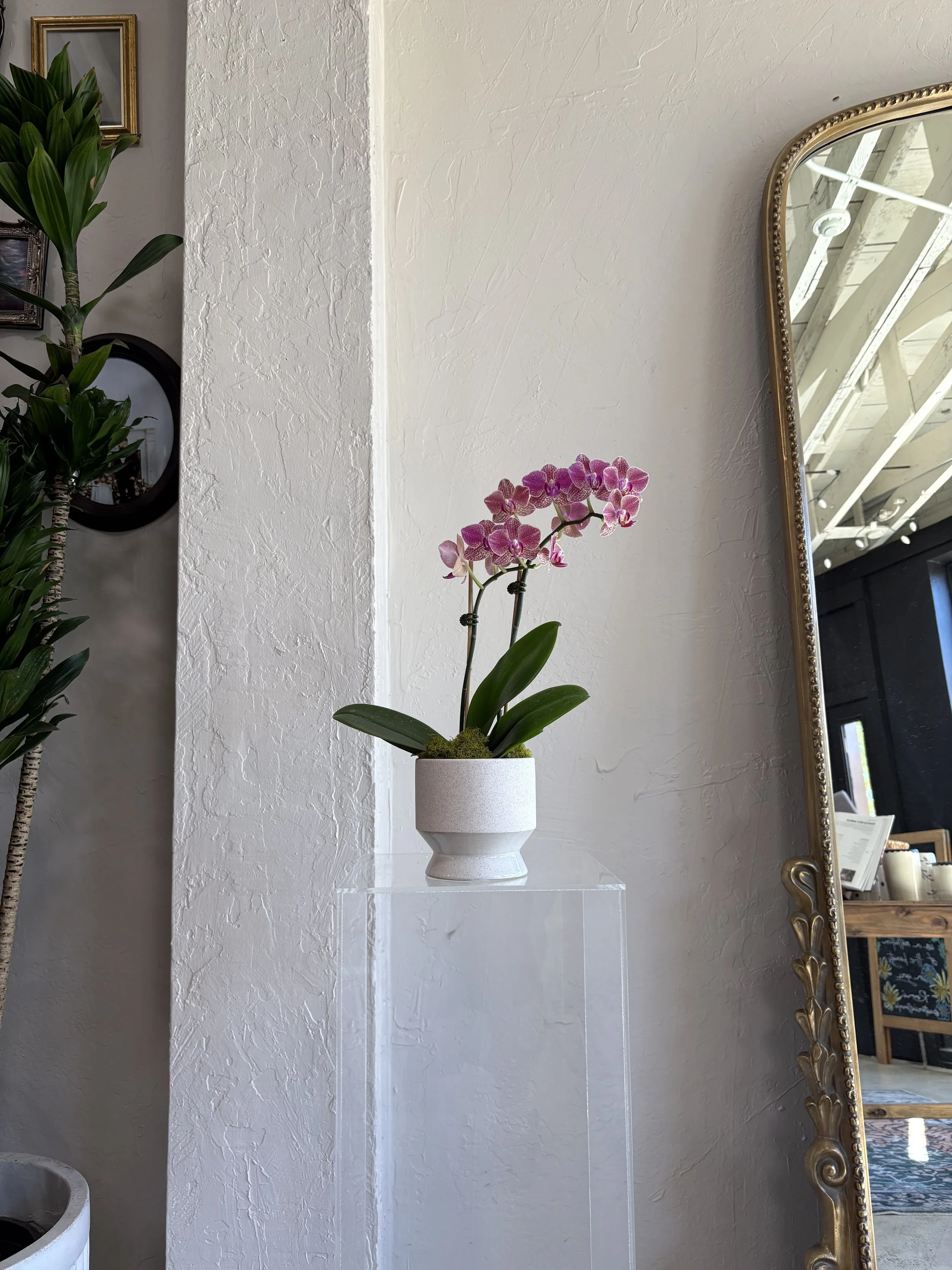 Same Day Arrangement - 7