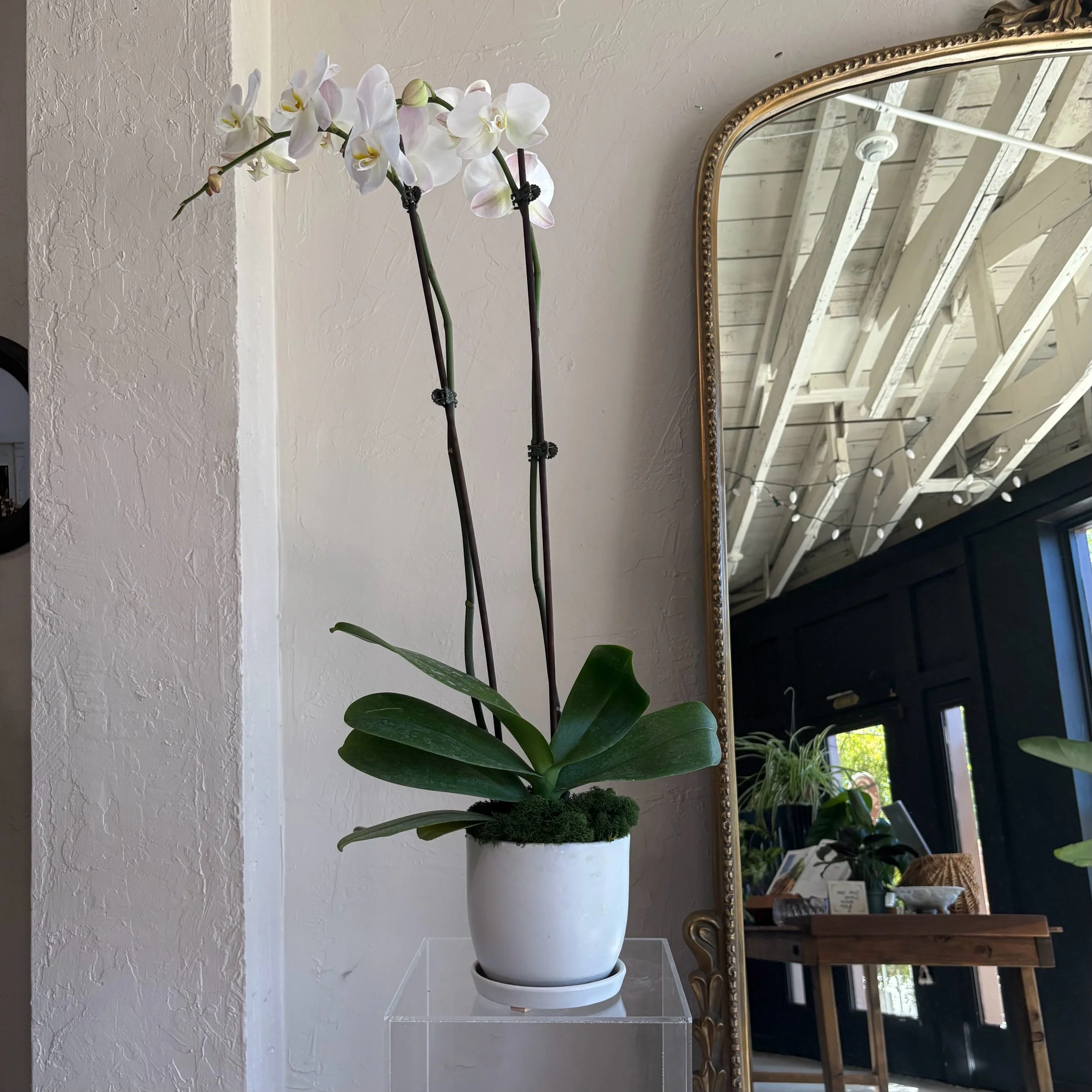 Same Day Arrangement - 10
