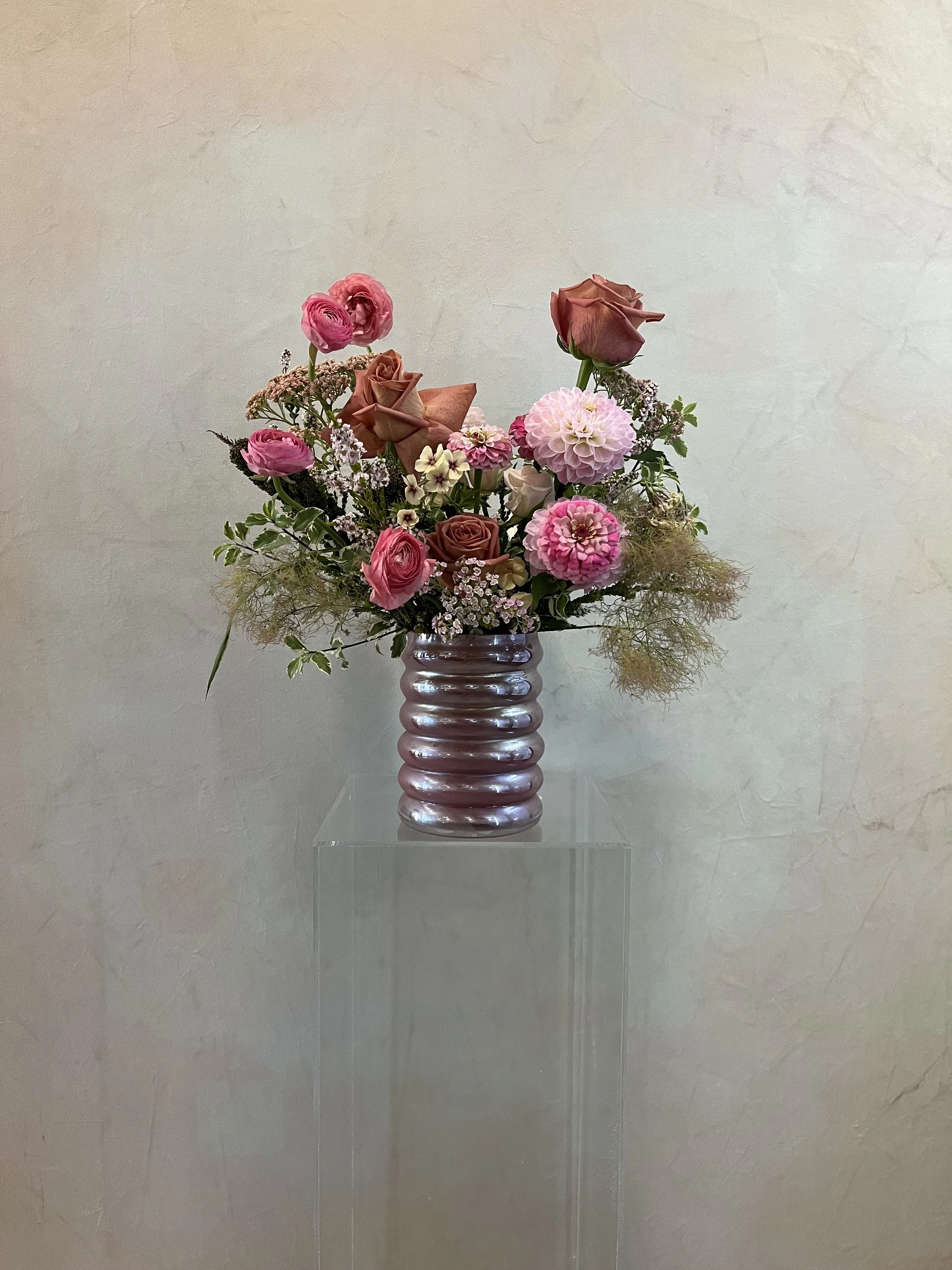 Designers Choice Extra Larges