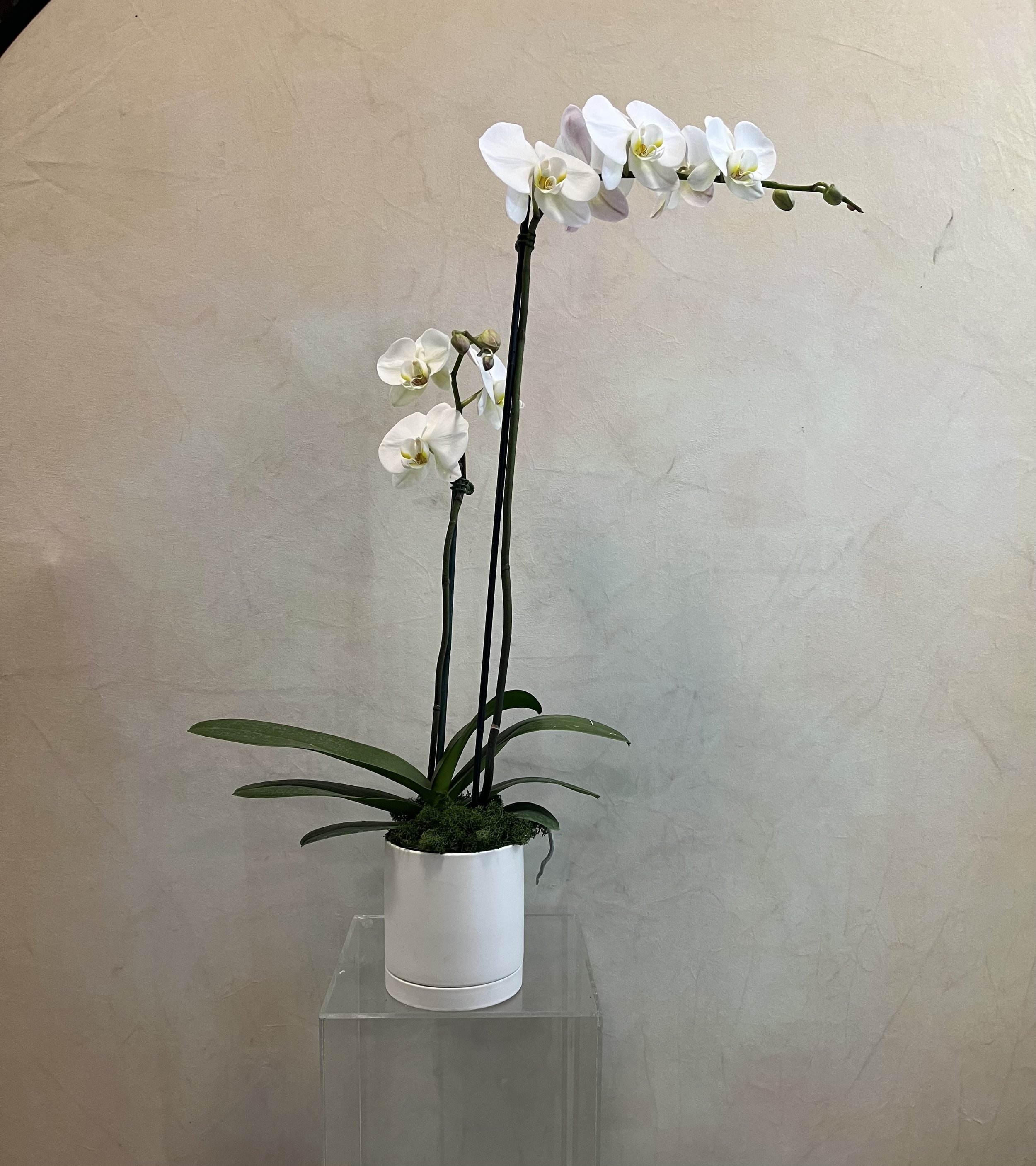 Same Day Arrangement - 6