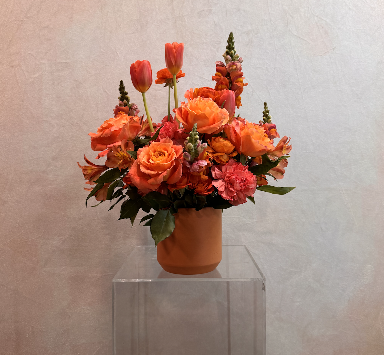 Screenshot 2026-02-13 at 6.17.50 PM.png