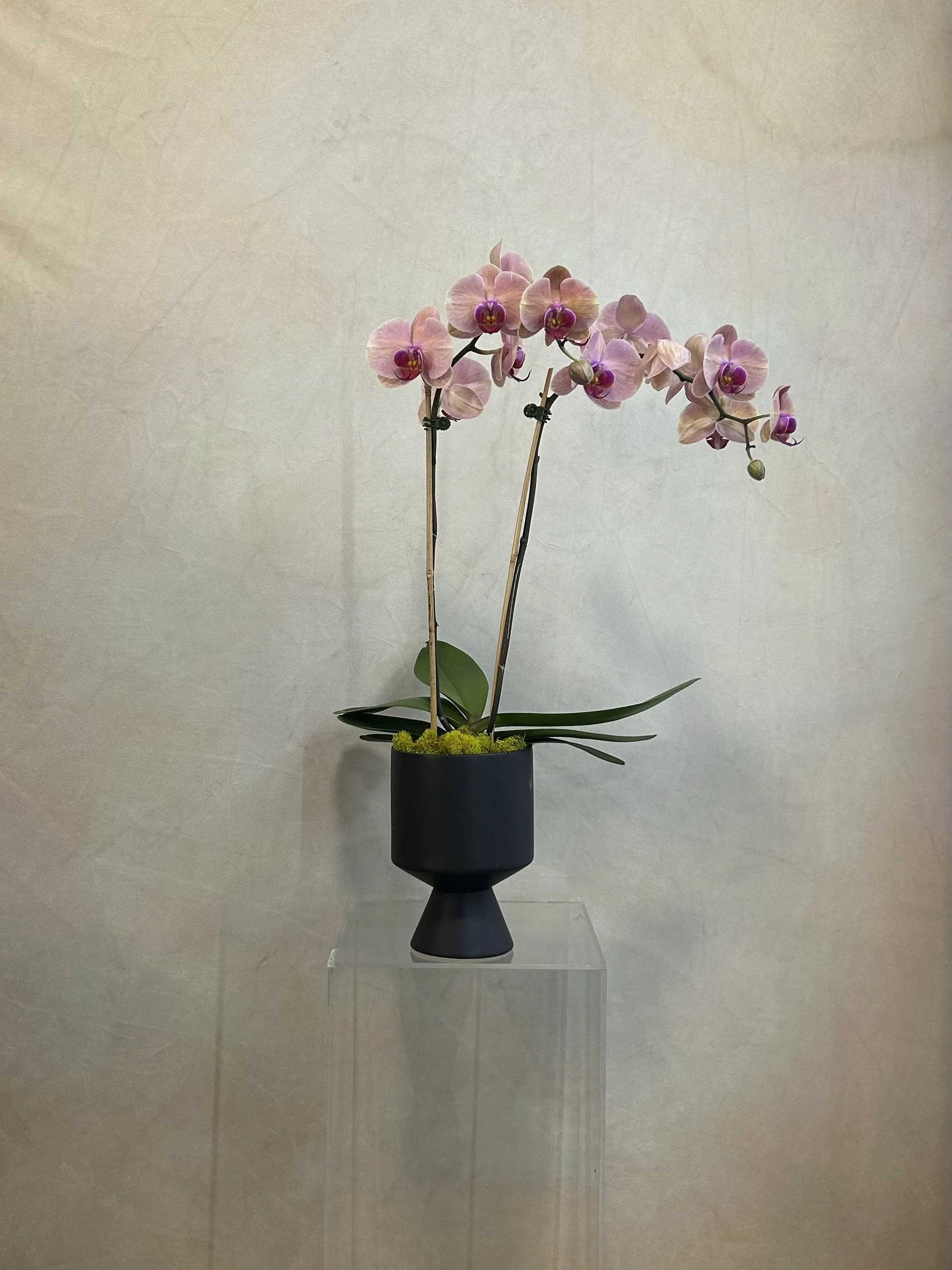 Same Day Arrangement - 11