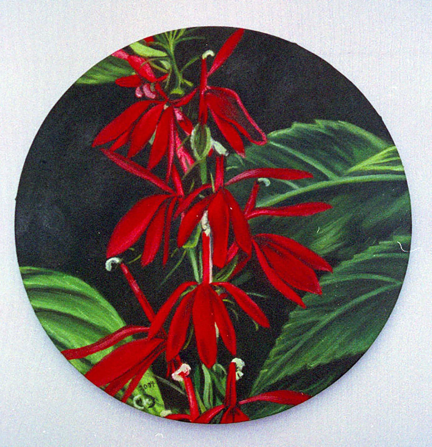 Red Flowers.jpg