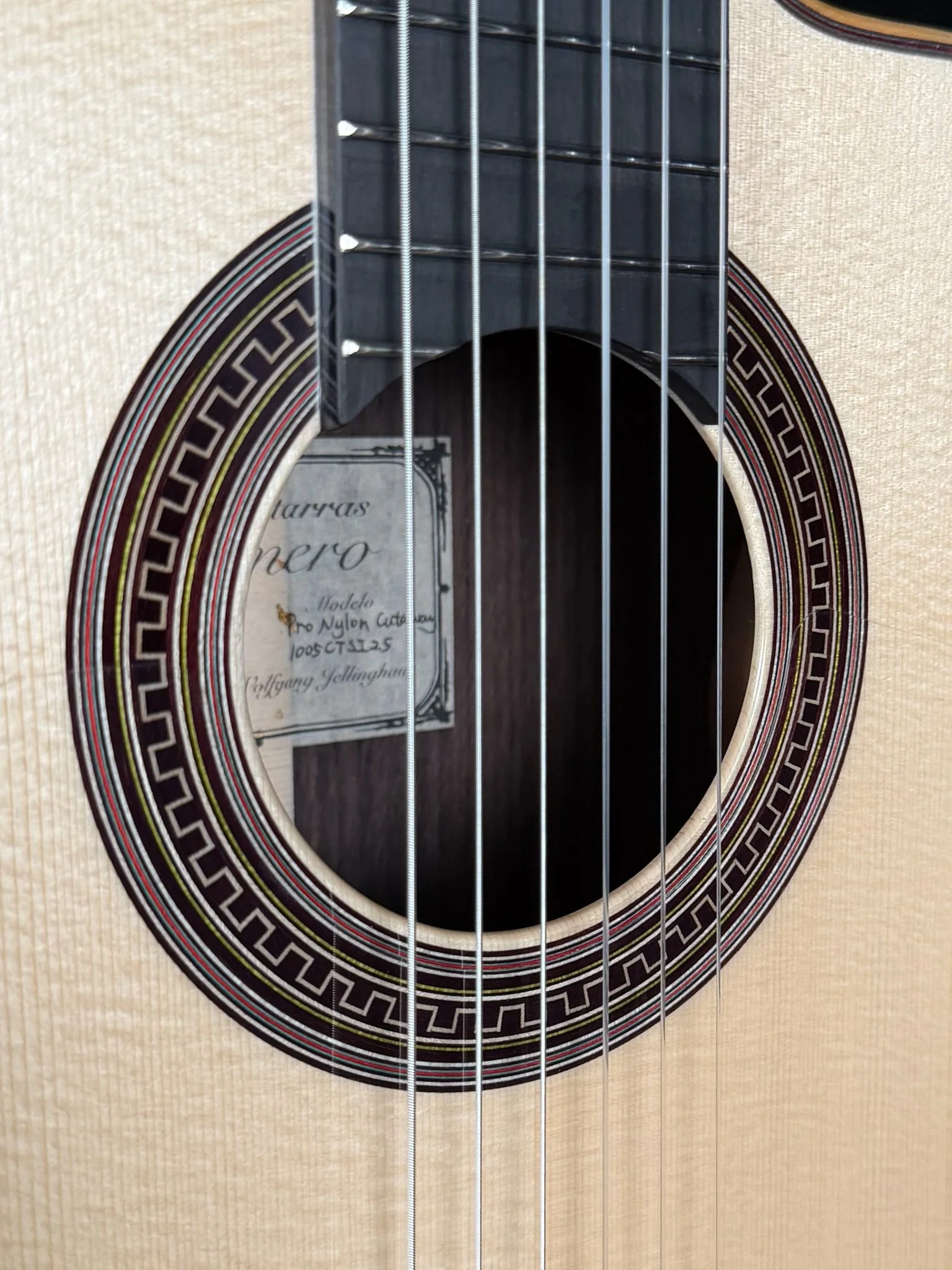 1005 Pro Nylon Cutaway rosette.jpg