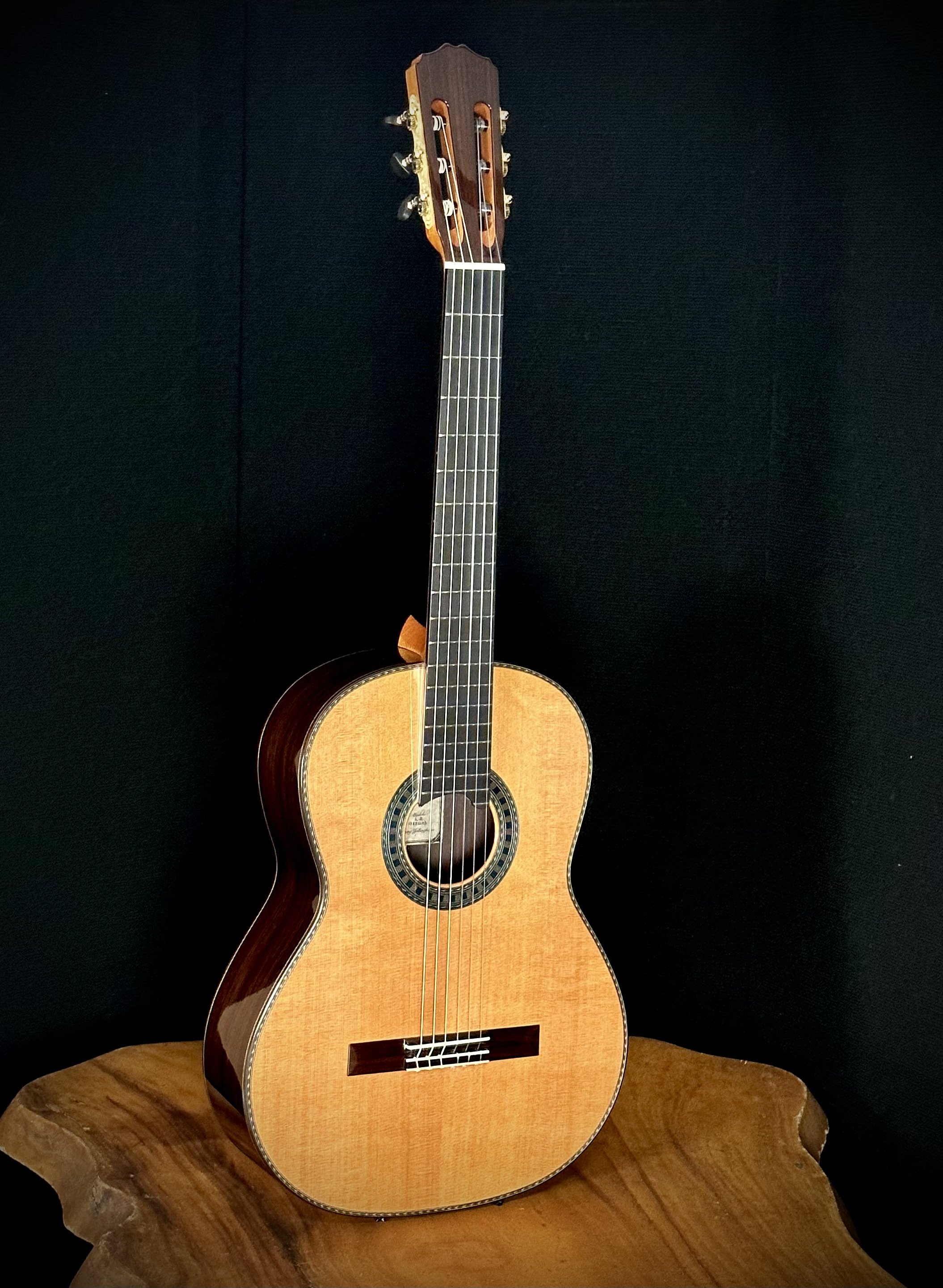 138 LR Cedar:Indian Rosewood 3.jpeg