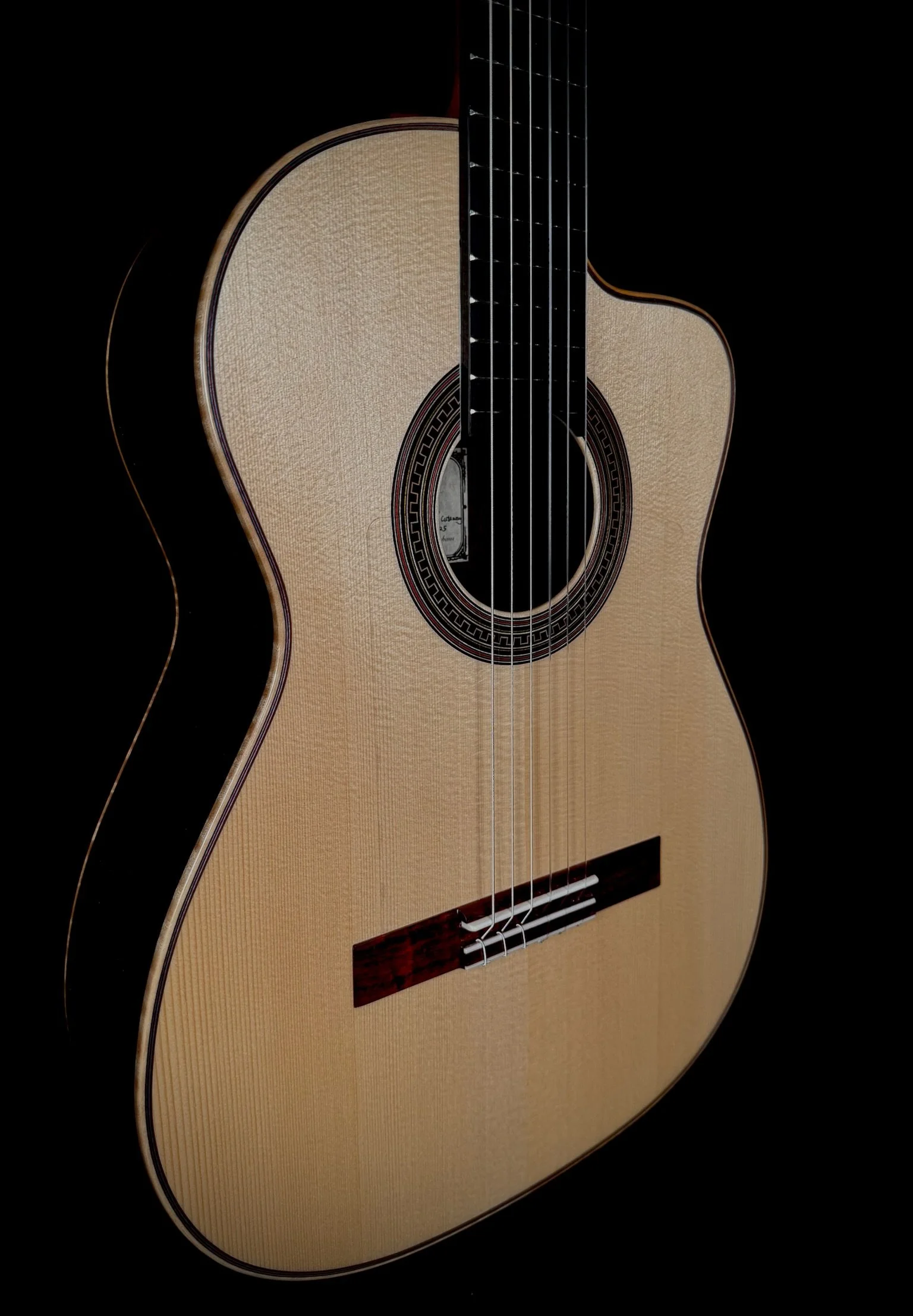 1005 Pro Nylon Cutaway frontbody.jpg