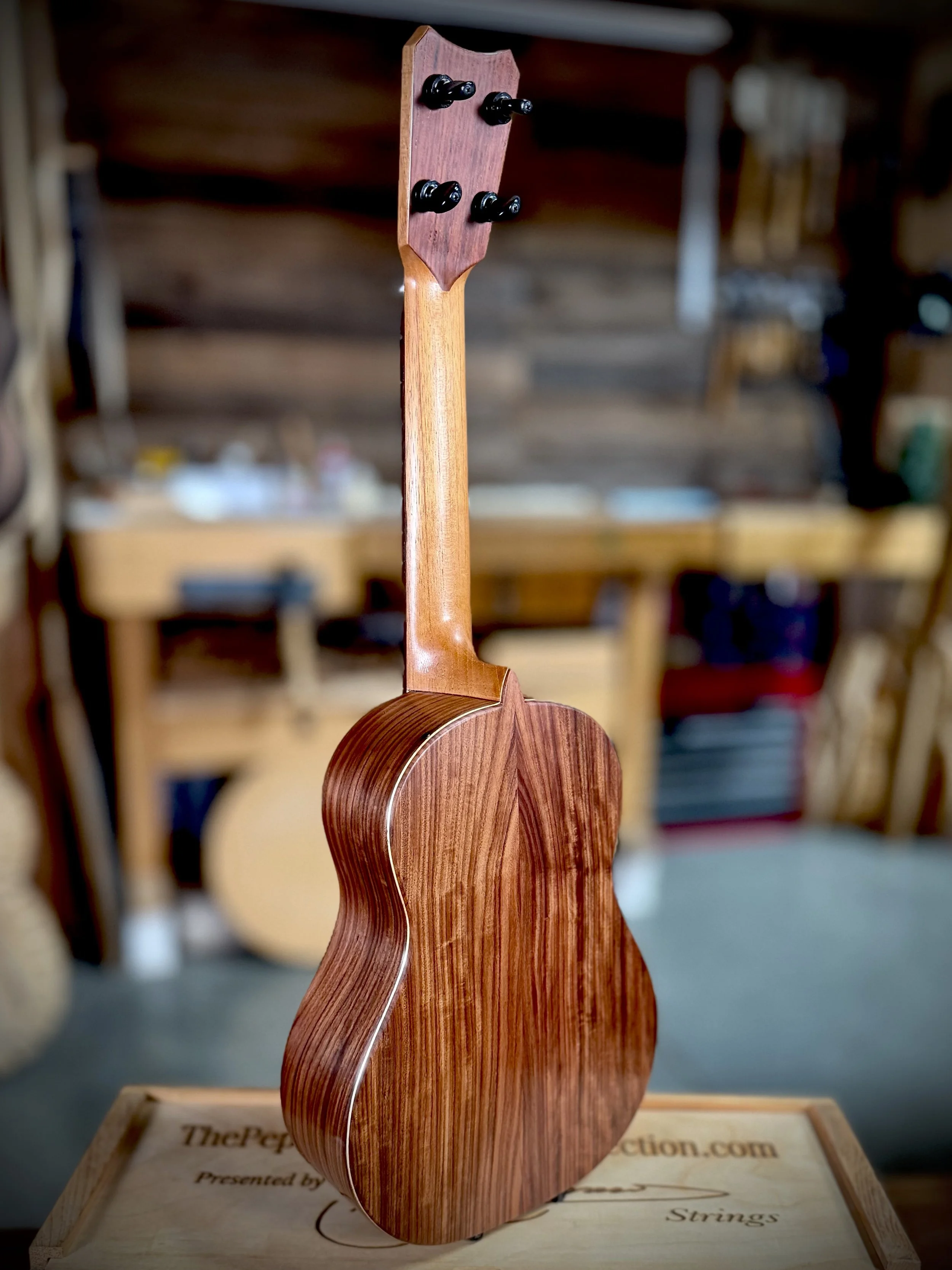 #249 Spruce:Pau Ferro "Pyro" Tenor $3200.jpg