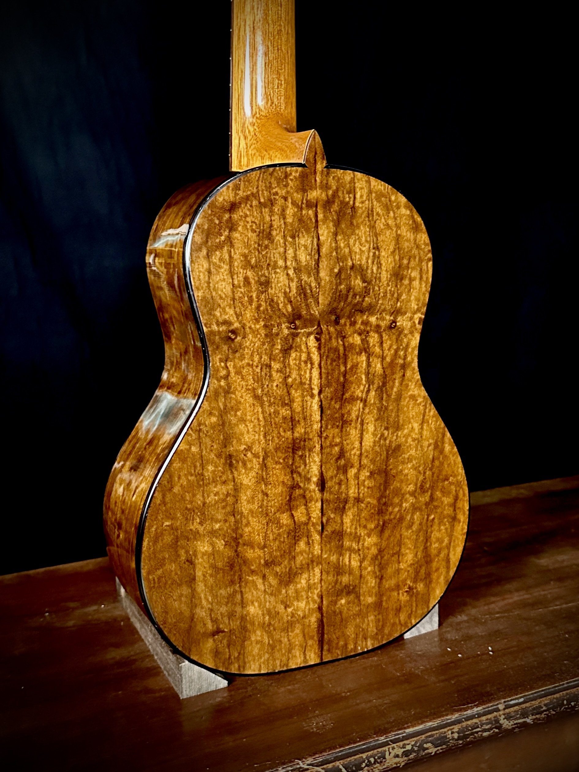 237 1893 Piano Project Tenor Spruce:Black Walnut backbody.jpeg
