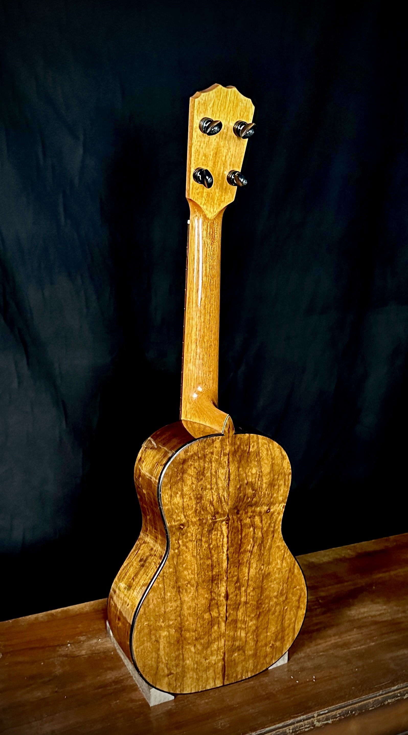 237 1893 Piano Project Tenor Spruce:Black Walnut back.jpeg