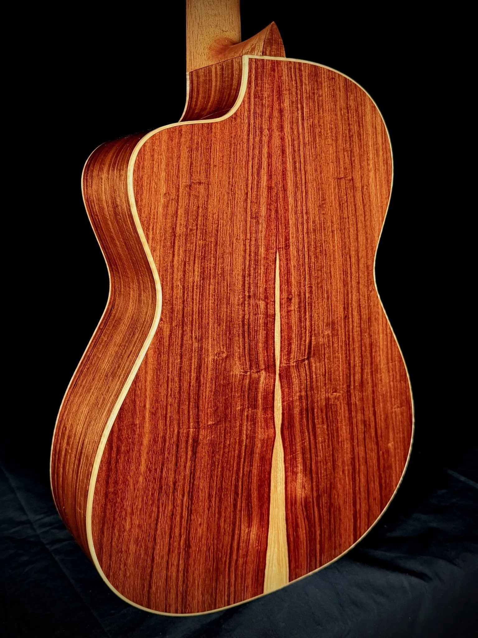 1001 Pro Nylon Cutaway backbody.jpg