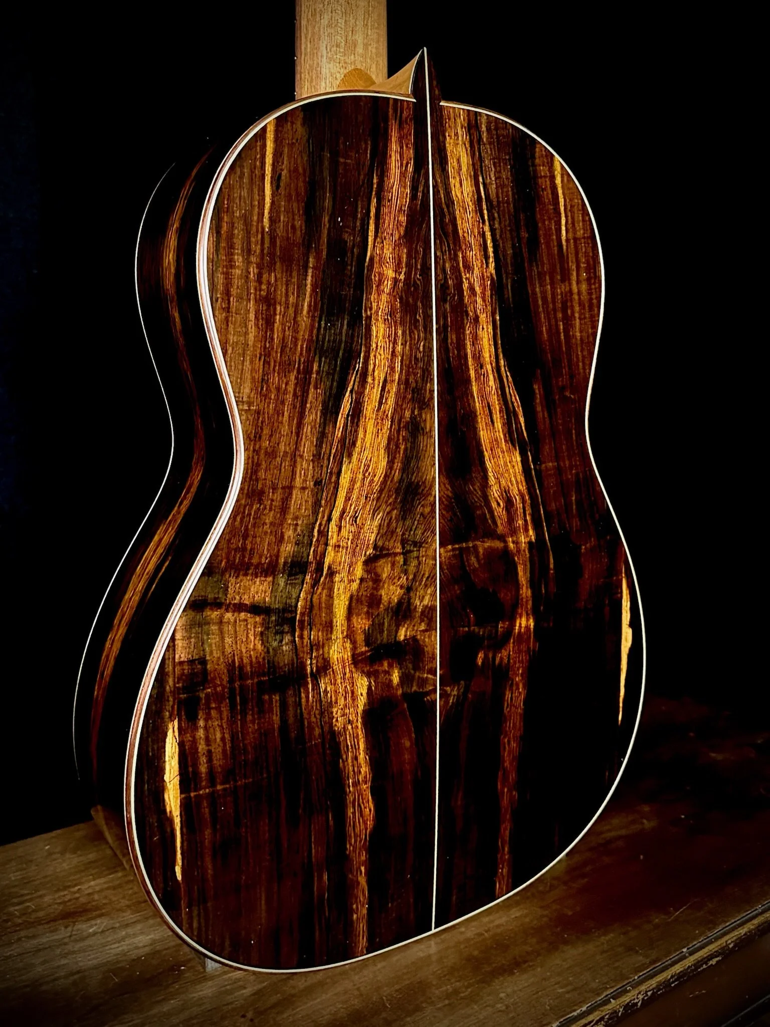Pepe Romero 2025 no416 backbody.jpg