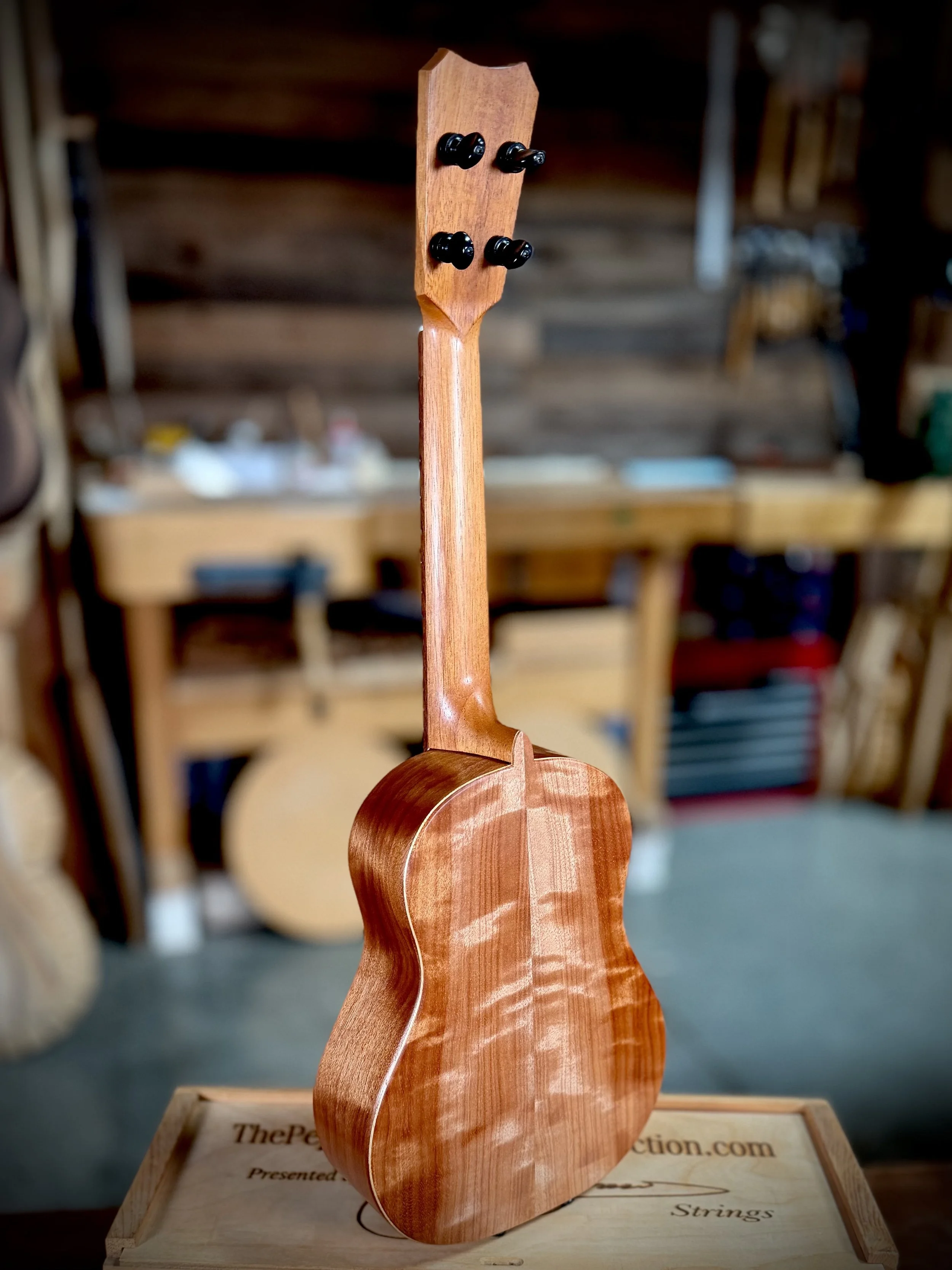 #252 Spruce:Makoi "Pyro" Tenor $3200.jpg